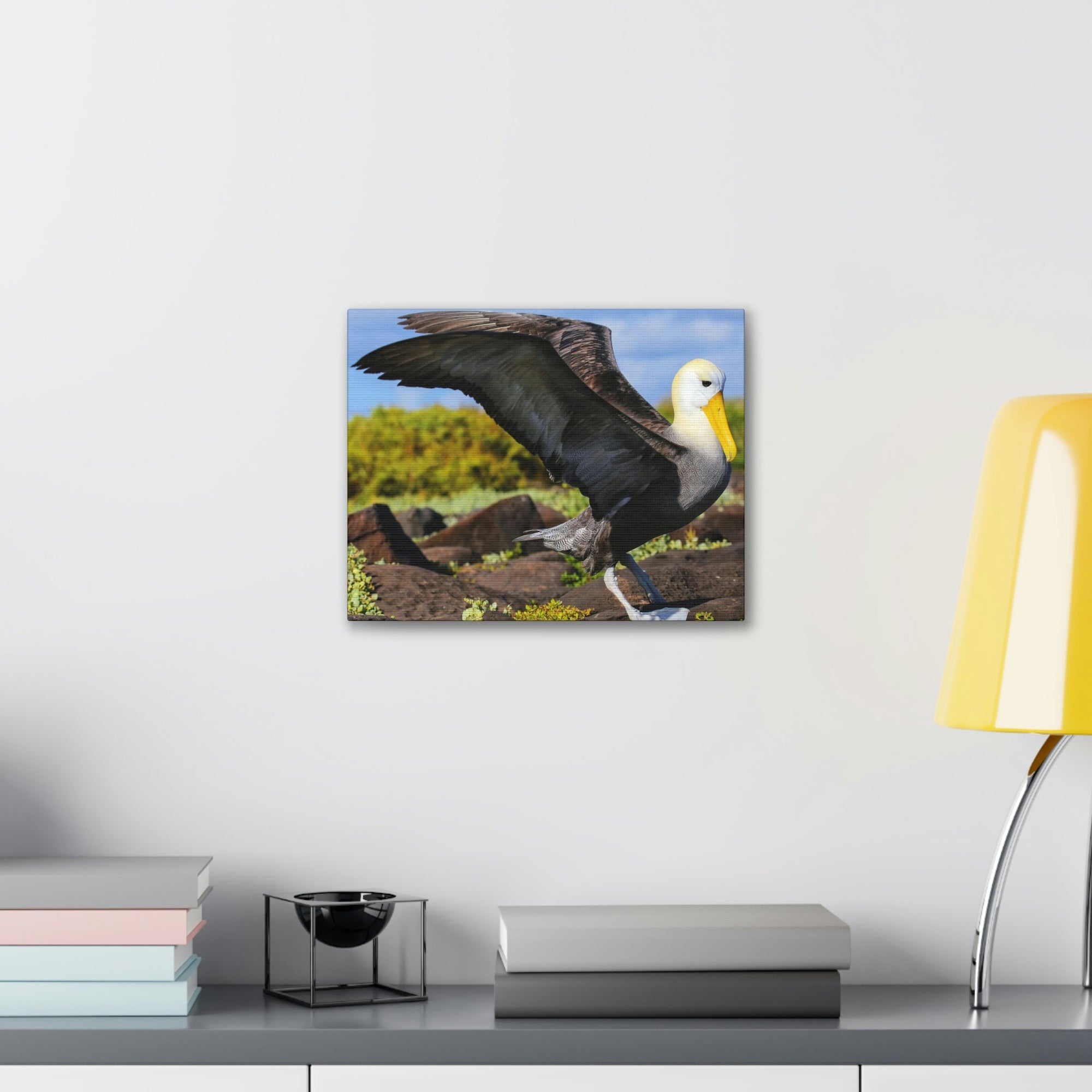 Scripture Walls Majestic Albatross Art Majestic Albatross Print Animal Wall Art Wildlife Canvas Prints Wall Art Ready to Hang Unframed-Express Your Love Gifts