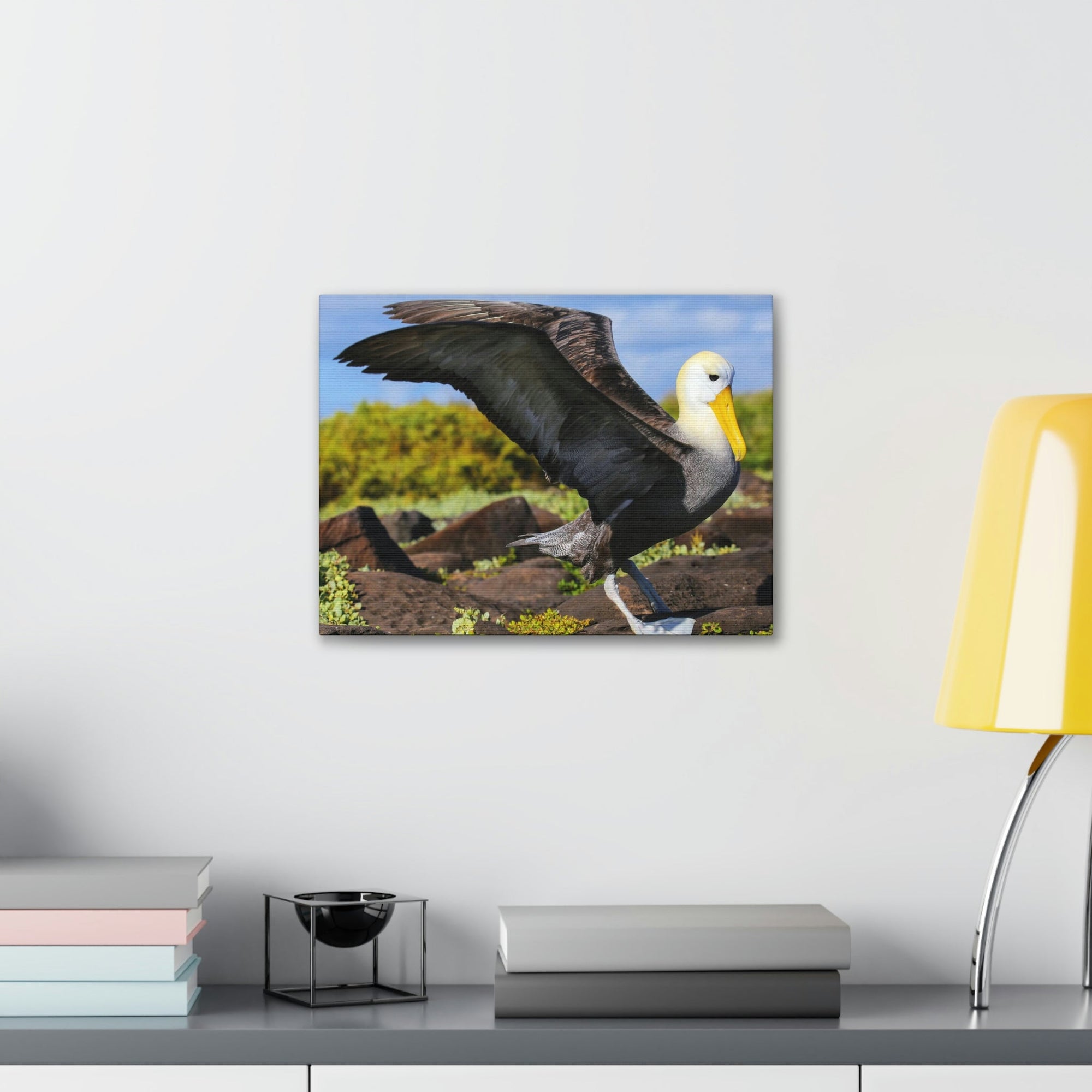 Scripture Walls Majestic Albatross Art Majestic Albatross Print Animal Wall Art Wildlife Canvas Prints Wall Art Ready to Hang Unframed-Express Your Love Gifts