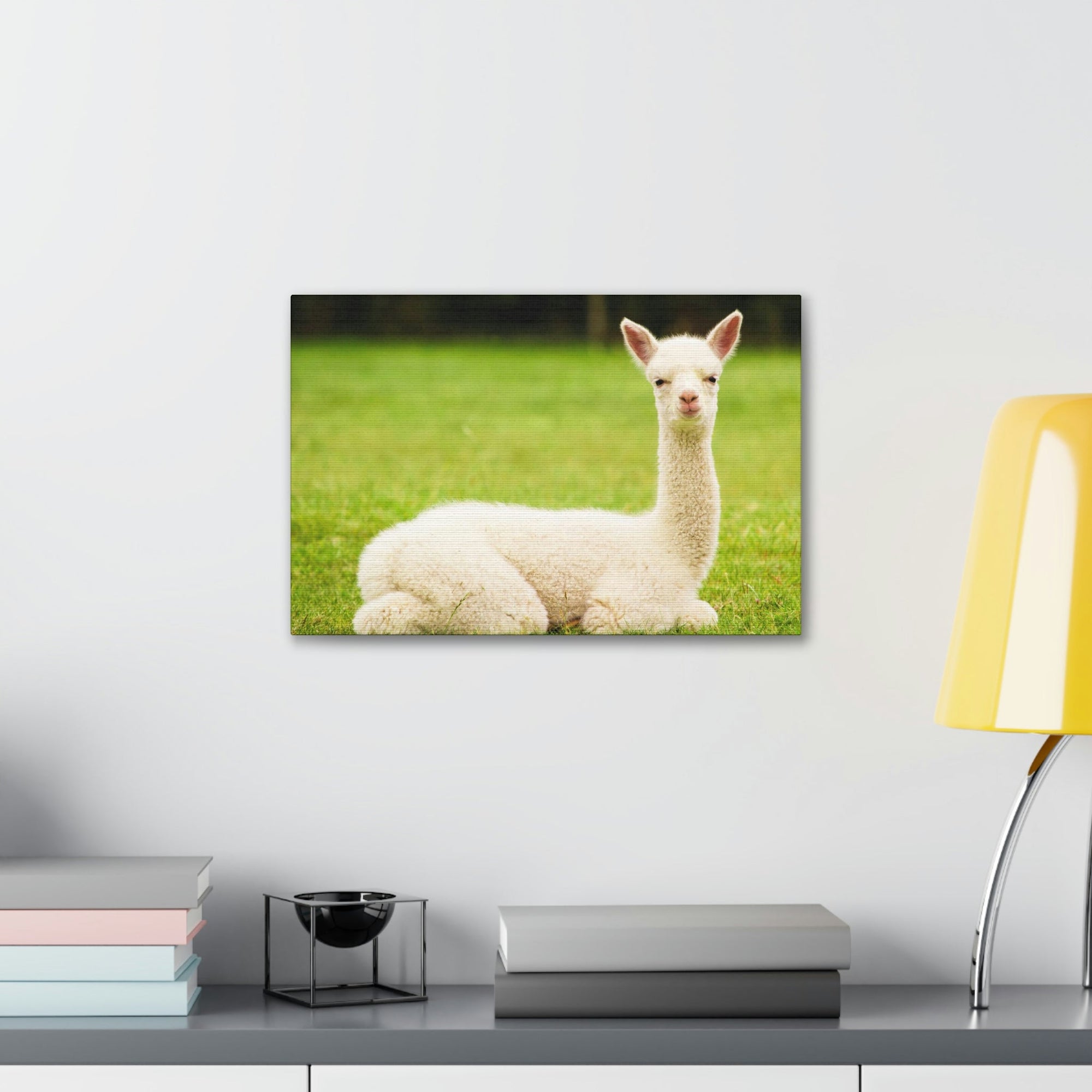 Scripture Walls Majestic Alpaca Art Majestic Alpaca Print Animal Wall Art Wildlife Canvas Prints Wall Art Ready to Hang Unframed-Express Your Love Gifts