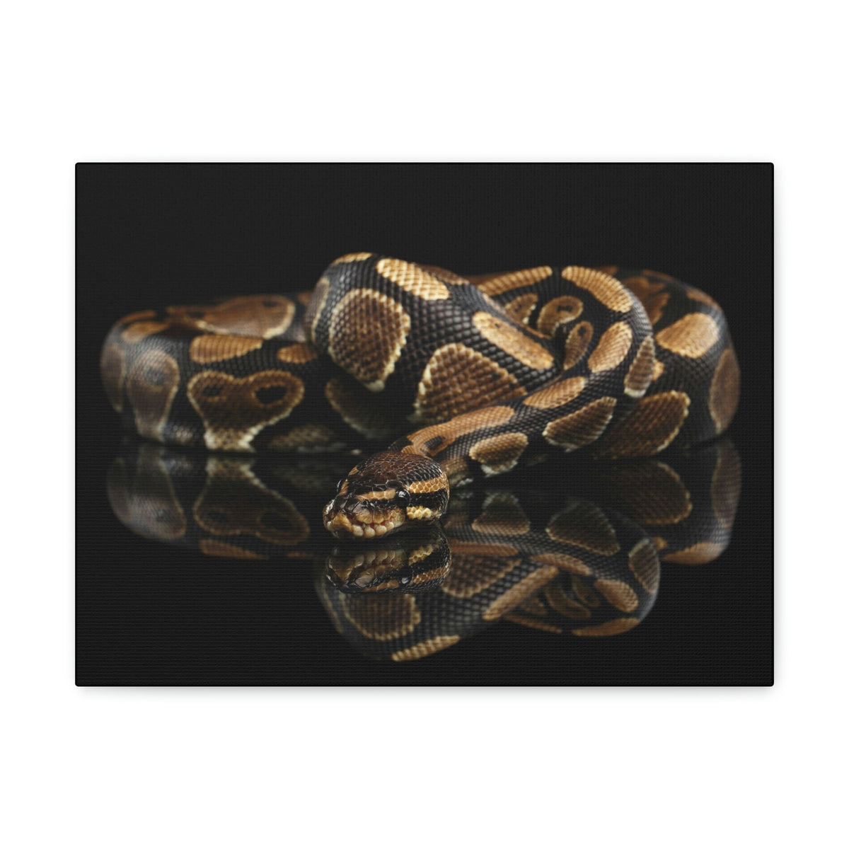 Scripture Walls Majestic Anaconda Art Majestic Anaconda Print Animal Wall Art Wildlife Canvas Prints Wall Art Ready to Hang Unframed-Express Your Love Gifts