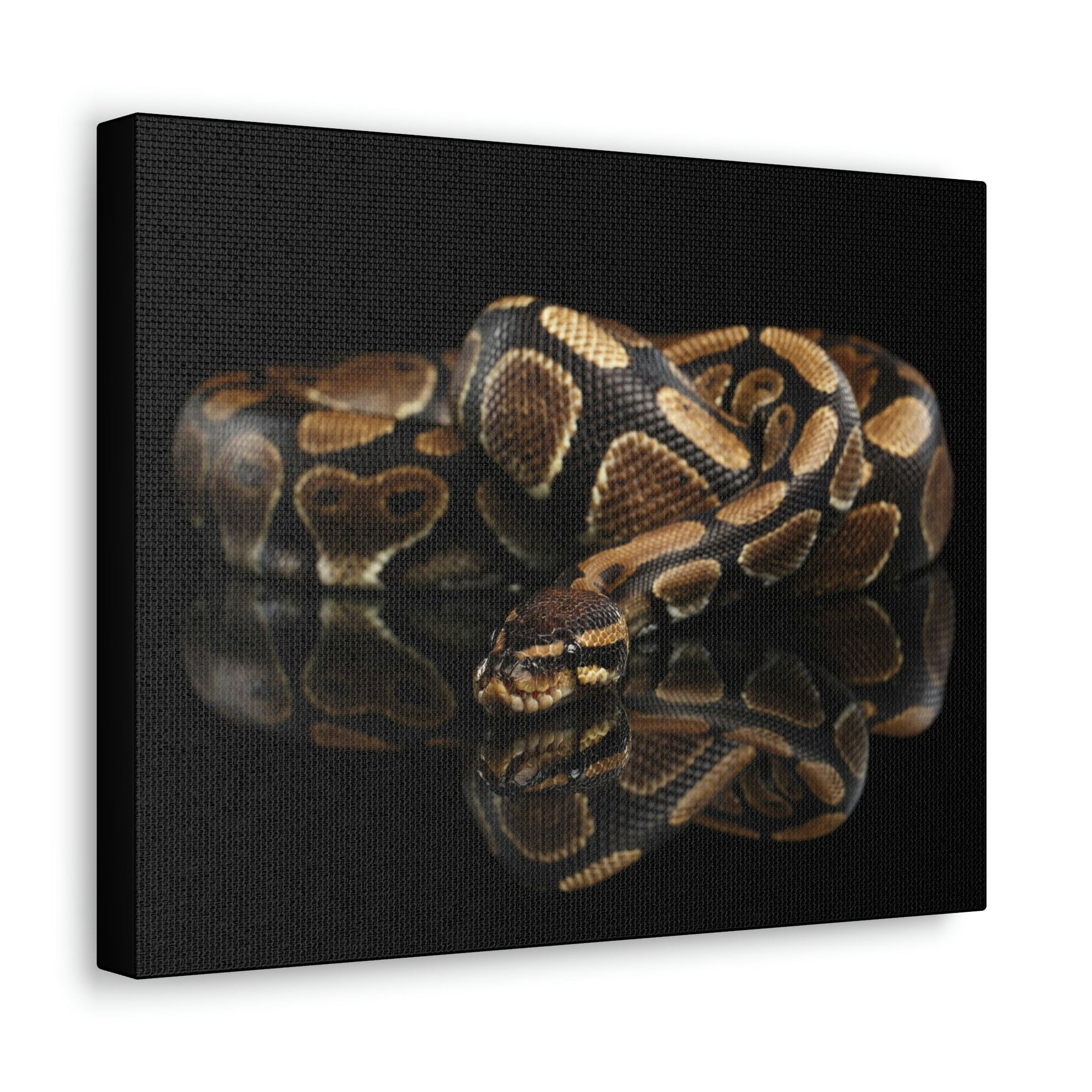 Scripture Walls Majestic Anaconda Art Majestic Anaconda Print Animal Wall Art Wildlife Canvas Prints Wall Art Ready to Hang Unframed-Express Your Love Gifts