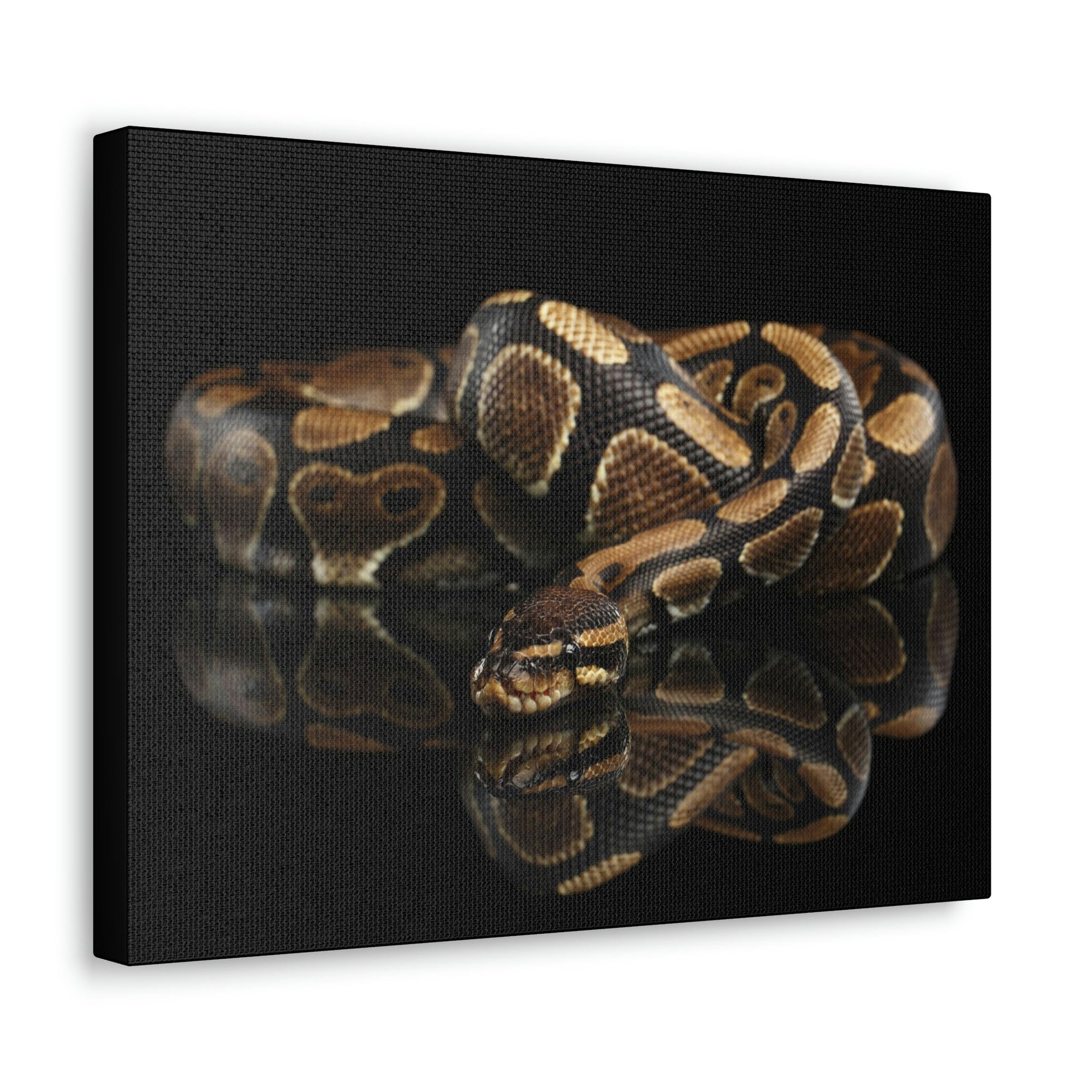 Scripture Walls Majestic Anaconda Art Majestic Anaconda Print Animal Wall Art Wildlife Canvas Prints Wall Art Ready to Hang Unframed-Express Your Love Gifts