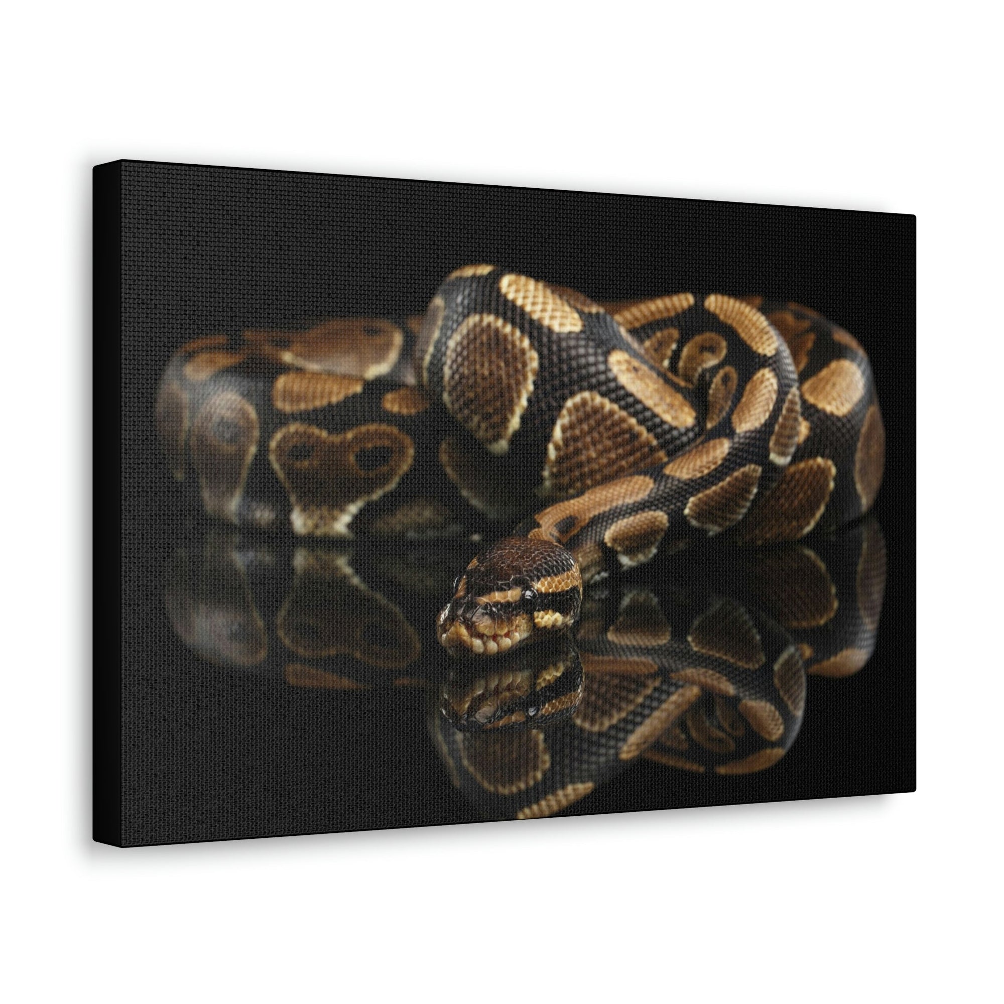 Scripture Walls Majestic Anaconda Art Majestic Anaconda Print Animal Wall Art Wildlife Canvas Prints Wall Art Ready to Hang Unframed-Express Your Love Gifts