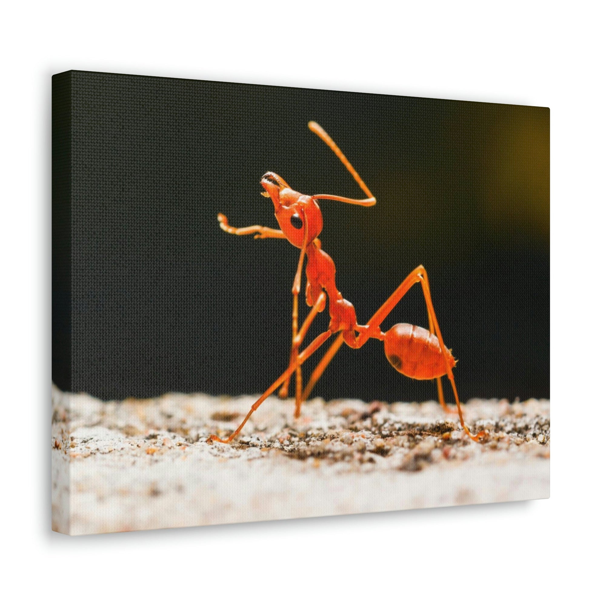 Scripture Walls Majestic Ant Art Majestic Ant Print Animal Wall Art Wildlife Canvas Prints Wall Art Ready to Hang Unframed-Express Your Love Gifts