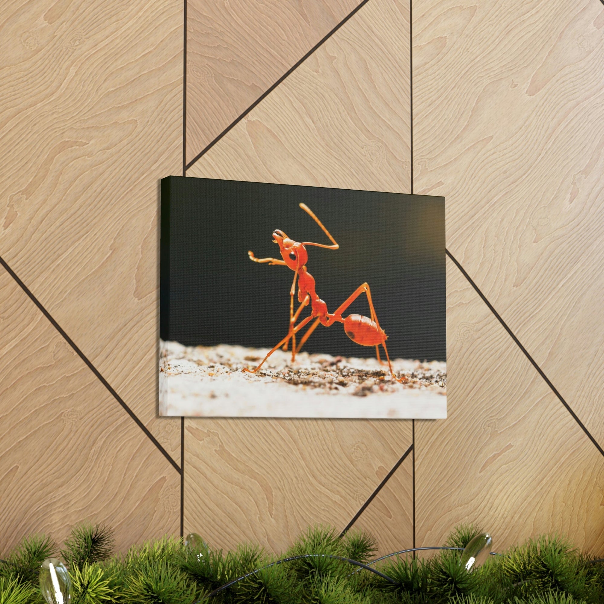 Scripture Walls Majestic Ant Art Majestic Ant Print Animal Wall Art Wildlife Canvas Prints Wall Art Ready to Hang Unframed-Express Your Love Gifts