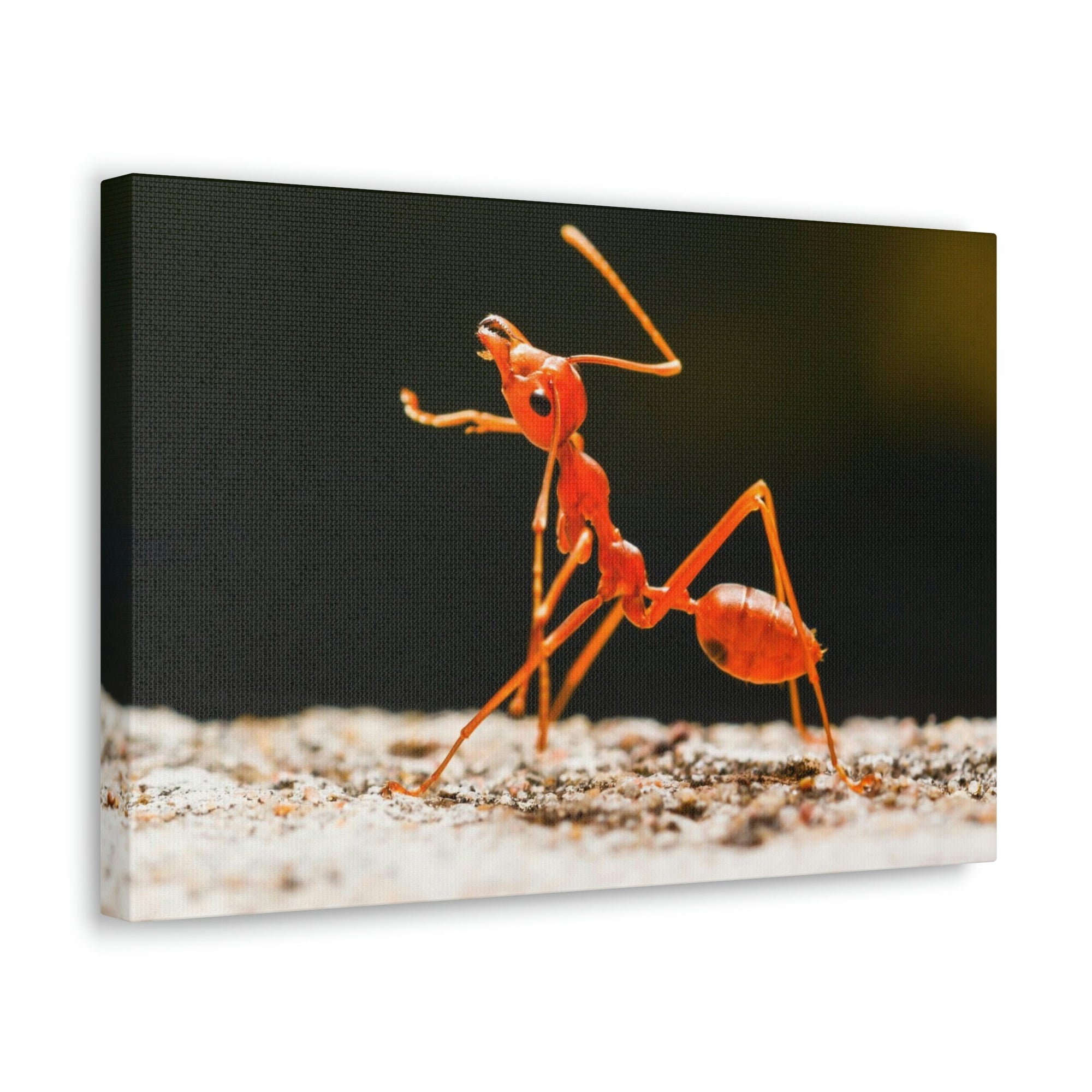 Scripture Walls Majestic Ant Art Majestic Ant Print Animal Wall Art Wildlife Canvas Prints Wall Art Ready to Hang Unframed-Express Your Love Gifts