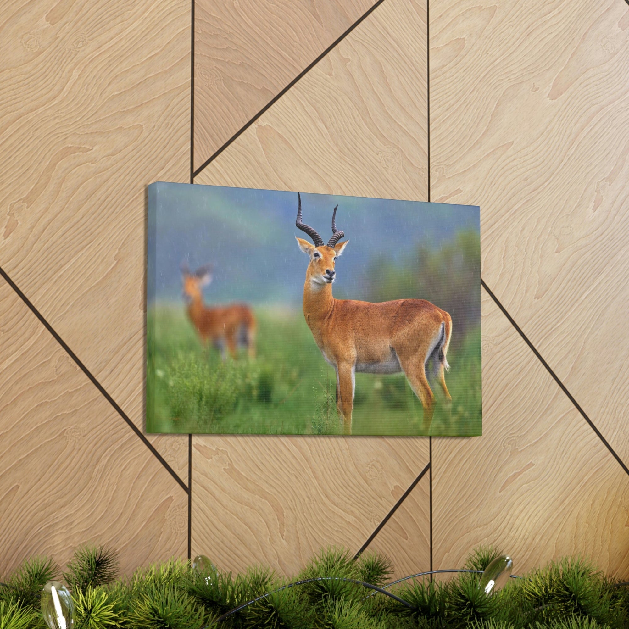 Scripture Walls Majestic Antelope Art Majestic Antelope Print Animal Wall Art Wildlife Canvas Prints Wall Art Ready to Hang Unframed-Express Your Love Gifts