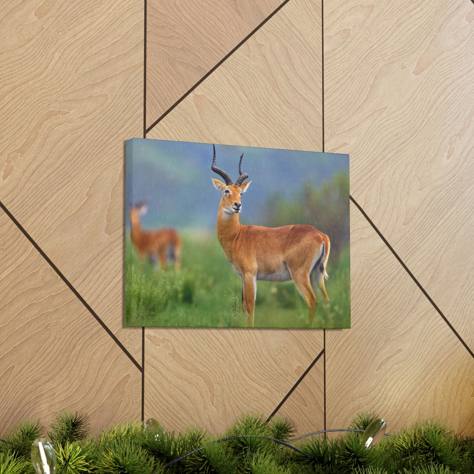 Scripture Walls Majestic Antelope Art Majestic Antelope Print Animal Wall Art Wildlife Canvas Prints Wall Art Ready to Hang Unframed-Express Your Love Gifts