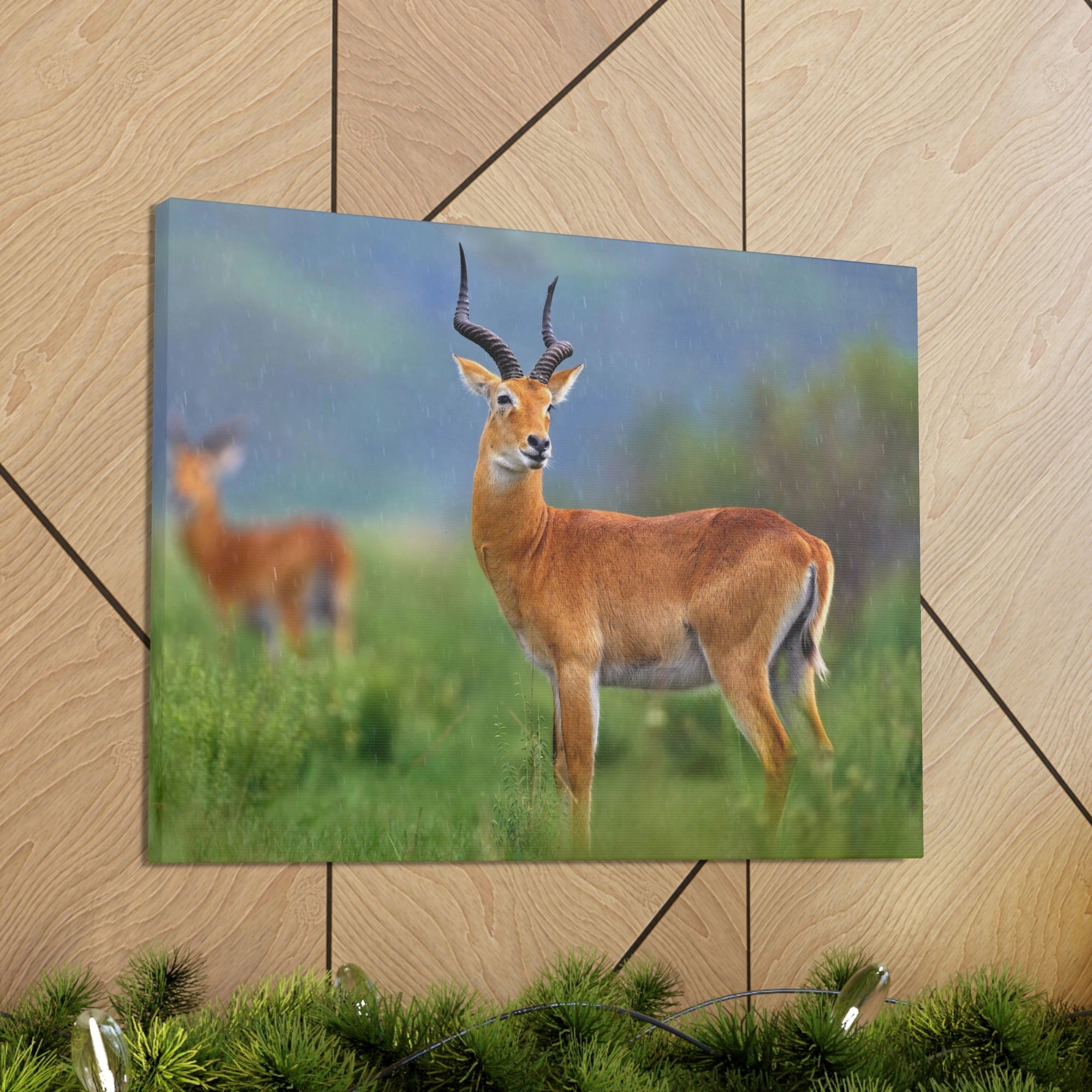 Scripture Walls Majestic Antelope Art Majestic Antelope Print Animal Wall Art Wildlife Canvas Prints Wall Art Ready to Hang Unframed-Express Your Love Gifts