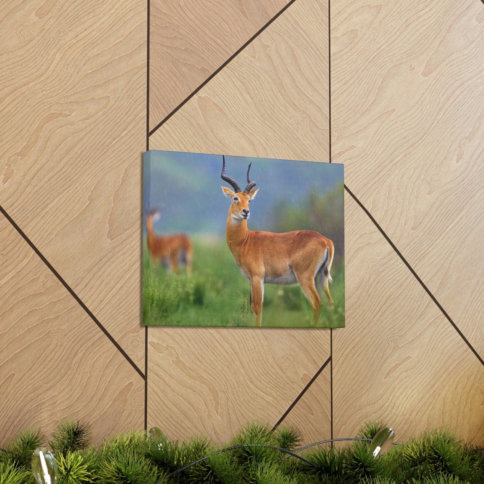 Scripture Walls Majestic Antelope Art Majestic Antelope Print Animal Wall Art Wildlife Canvas Prints Wall Art Ready to Hang Unframed-Express Your Love Gifts