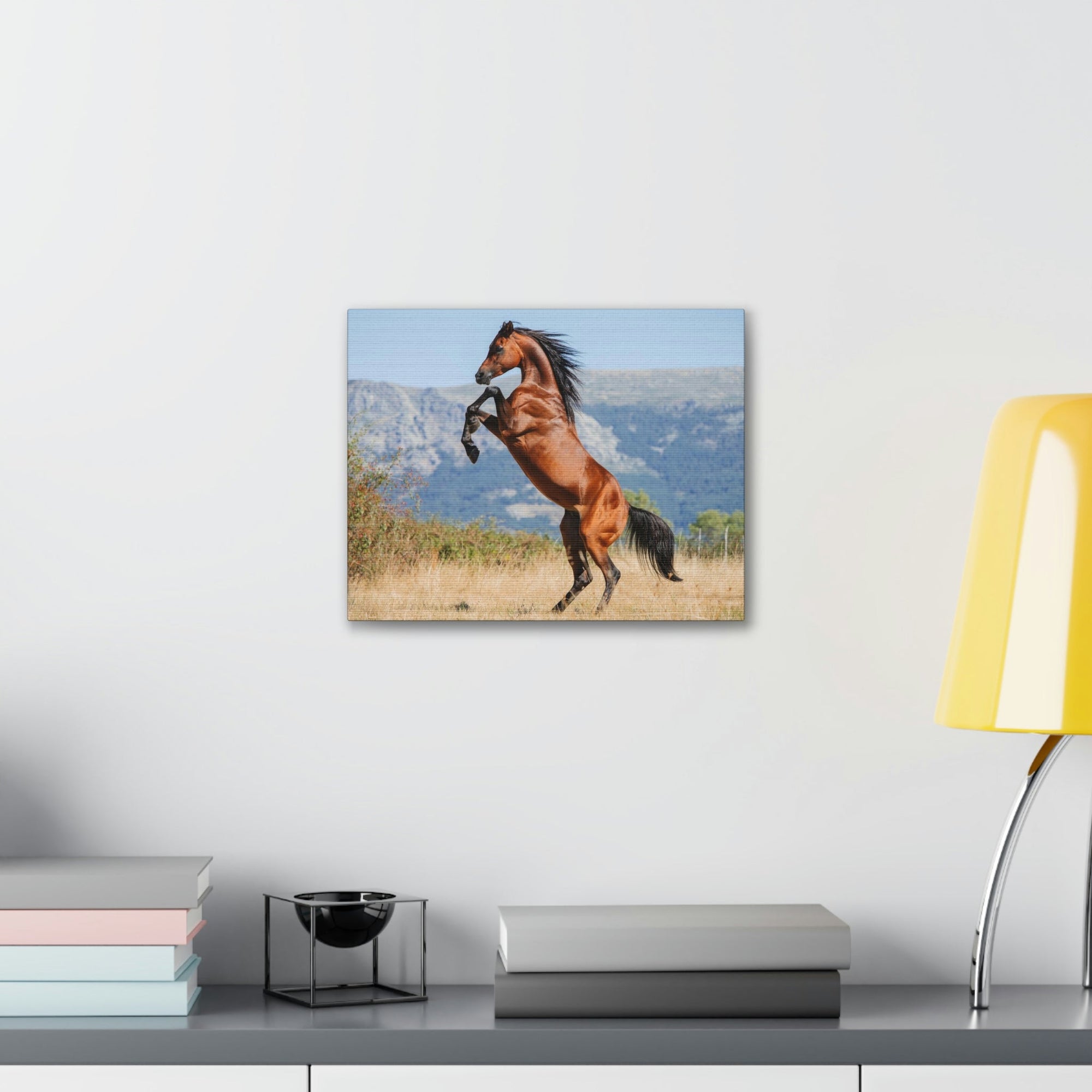 Scripture Walls Majestic Arab Horse Art Majestic Arab Horse Print Animal Wall Art Wildlife Canvas Prints Wall Art Ready to Hang Unframed-Express Your Love Gifts