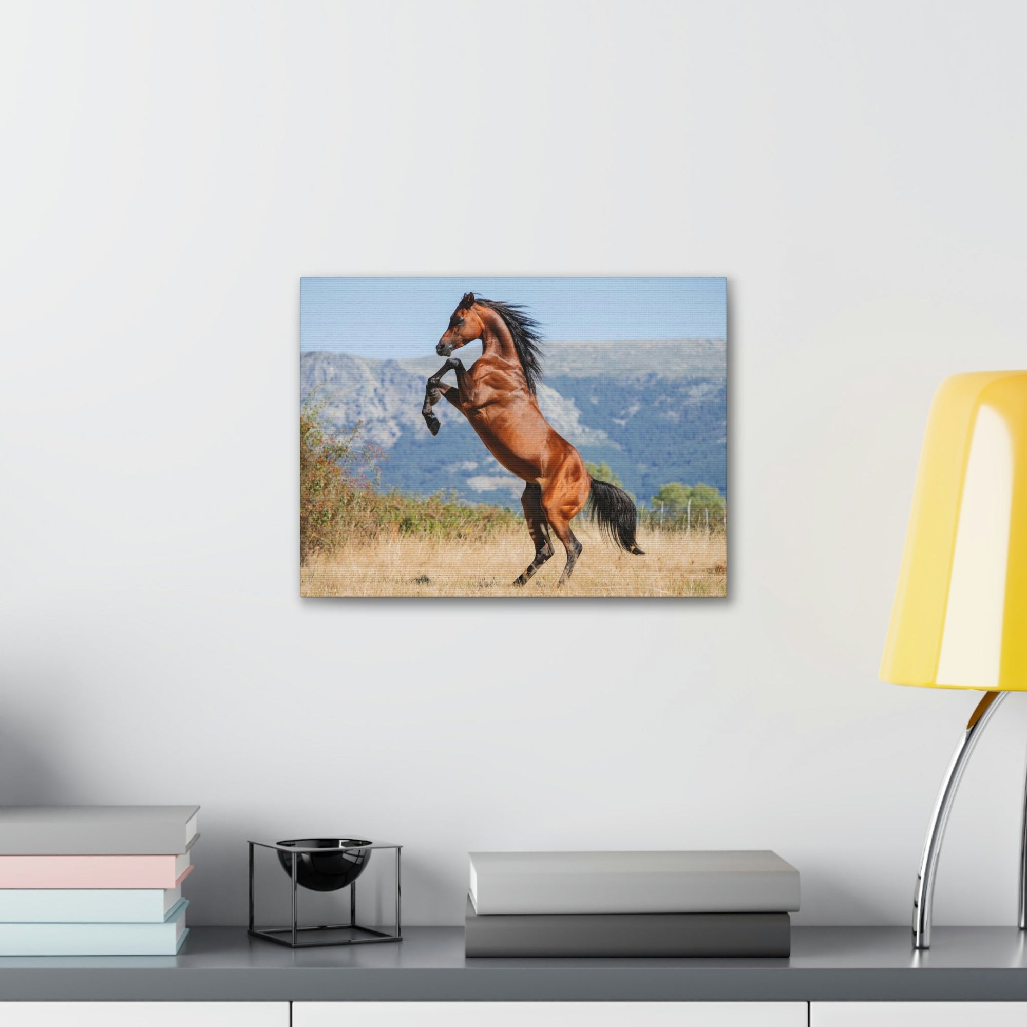 Scripture Walls Majestic Arab Horse Art Majestic Arab Horse Print Animal Wall Art Wildlife Canvas Prints Wall Art Ready to Hang Unframed-Express Your Love Gifts