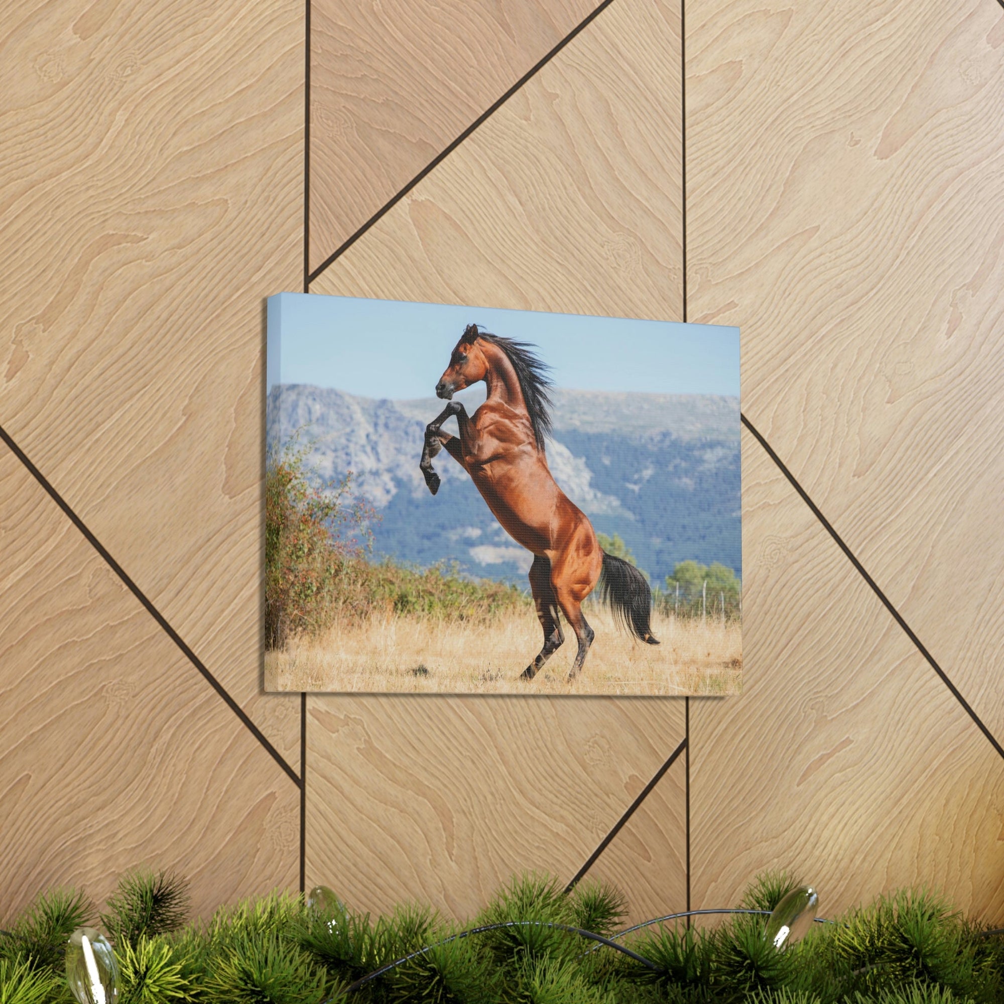 Scripture Walls Majestic Arab Horse Art Majestic Arab Horse Print Animal Wall Art Wildlife Canvas Prints Wall Art Ready to Hang Unframed-Express Your Love Gifts