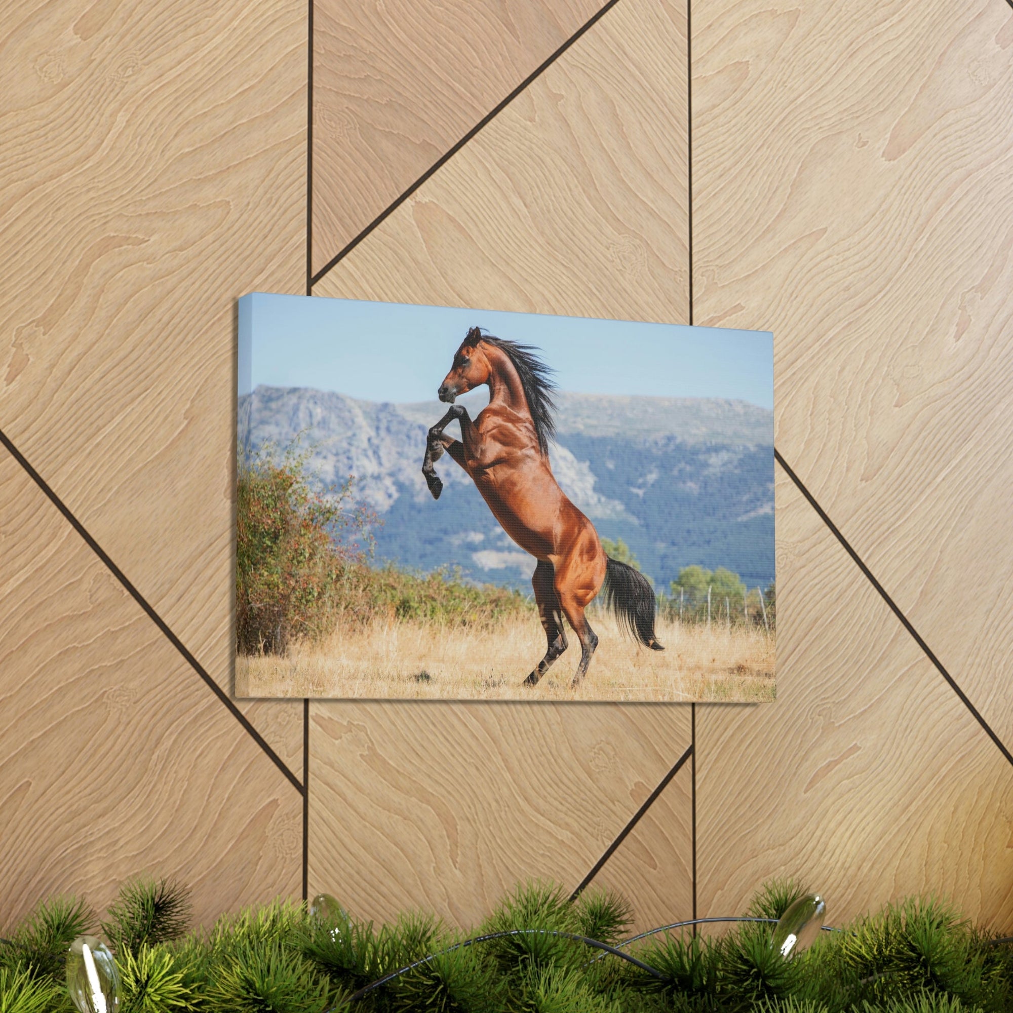 Scripture Walls Majestic Arab Horse Art Majestic Arab Horse Print Animal Wall Art Wildlife Canvas Prints Wall Art Ready to Hang Unframed-Express Your Love Gifts