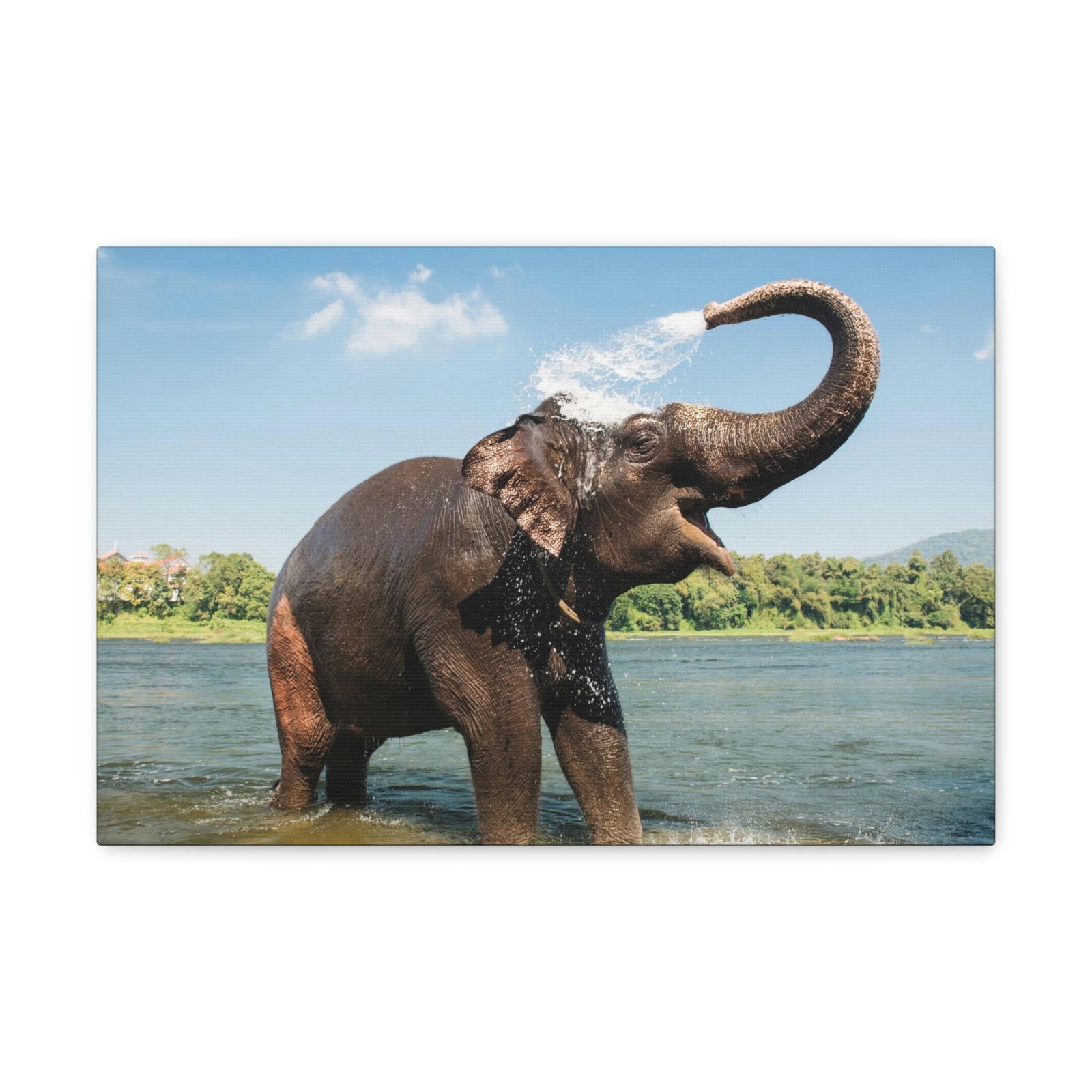 Scripture Walls Majestic Asian Elephant Art Majestic Asian Elephant Print Animal Wall Art Wildlife Canvas Prints Wall Art Ready to Hang Unframed-Express Your Love Gifts