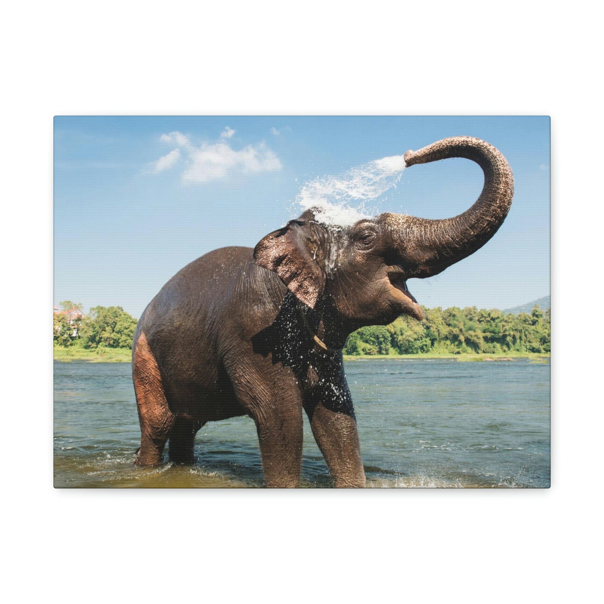 Scripture Walls Majestic Asian Elephant Art Majestic Asian Elephant Print Animal Wall Art Wildlife Canvas Prints Wall Art Ready to Hang Unframed-Express Your Love Gifts