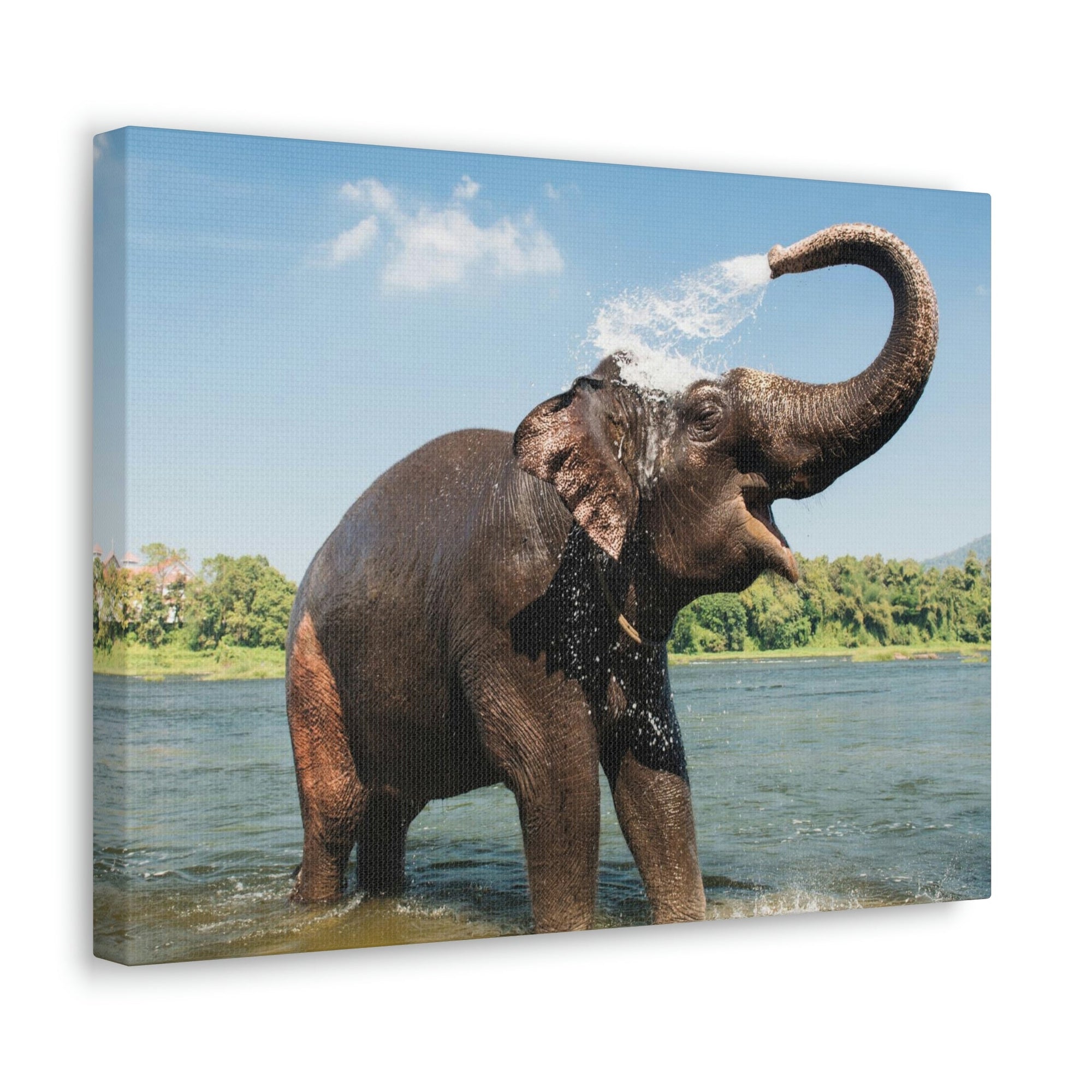 Scripture Walls Majestic Asian Elephant Art Majestic Asian Elephant Print Animal Wall Art Wildlife Canvas Prints Wall Art Ready to Hang Unframed-Express Your Love Gifts