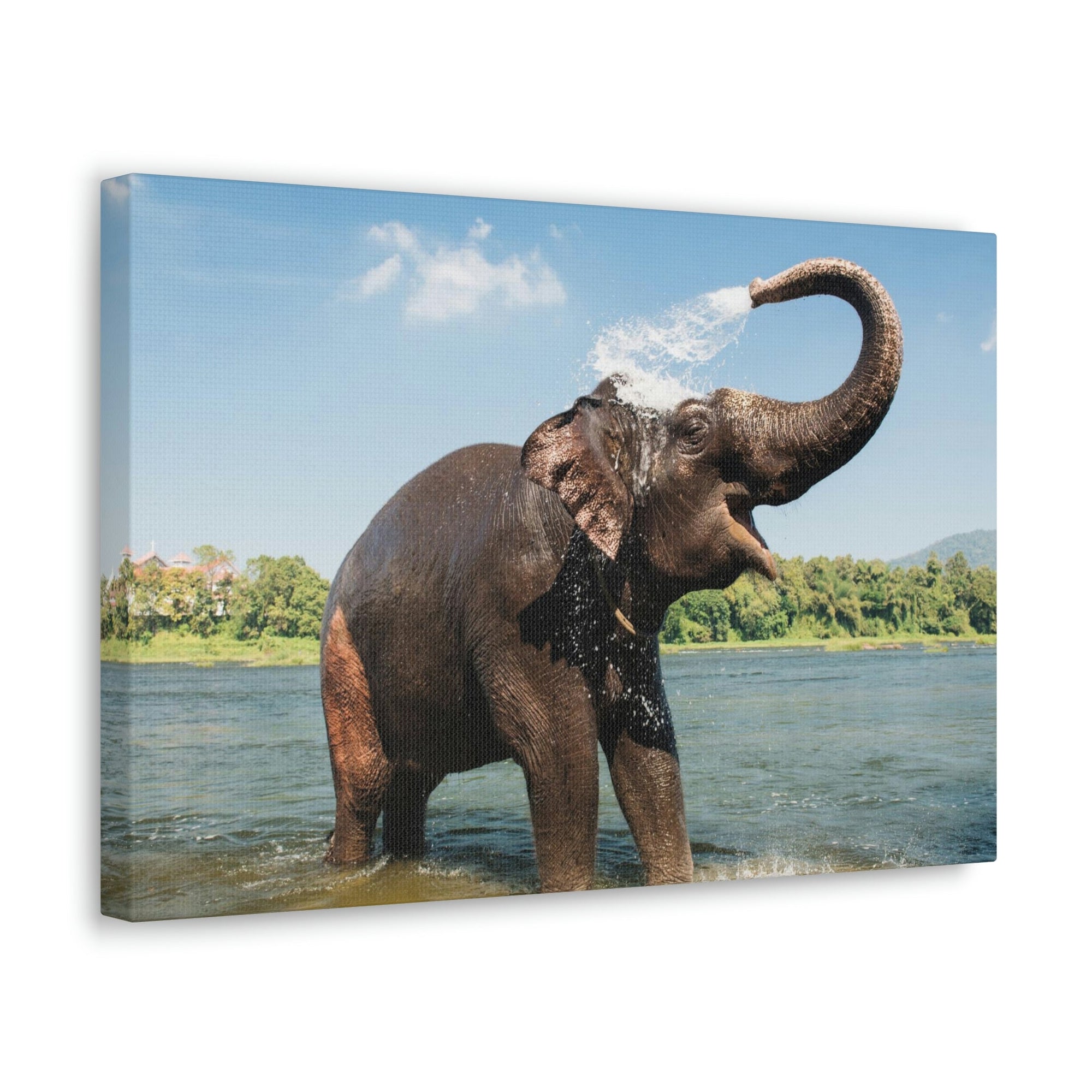 Scripture Walls Majestic Asian Elephant Art Majestic Asian Elephant Print Animal Wall Art Wildlife Canvas Prints Wall Art Ready to Hang Unframed-Express Your Love Gifts