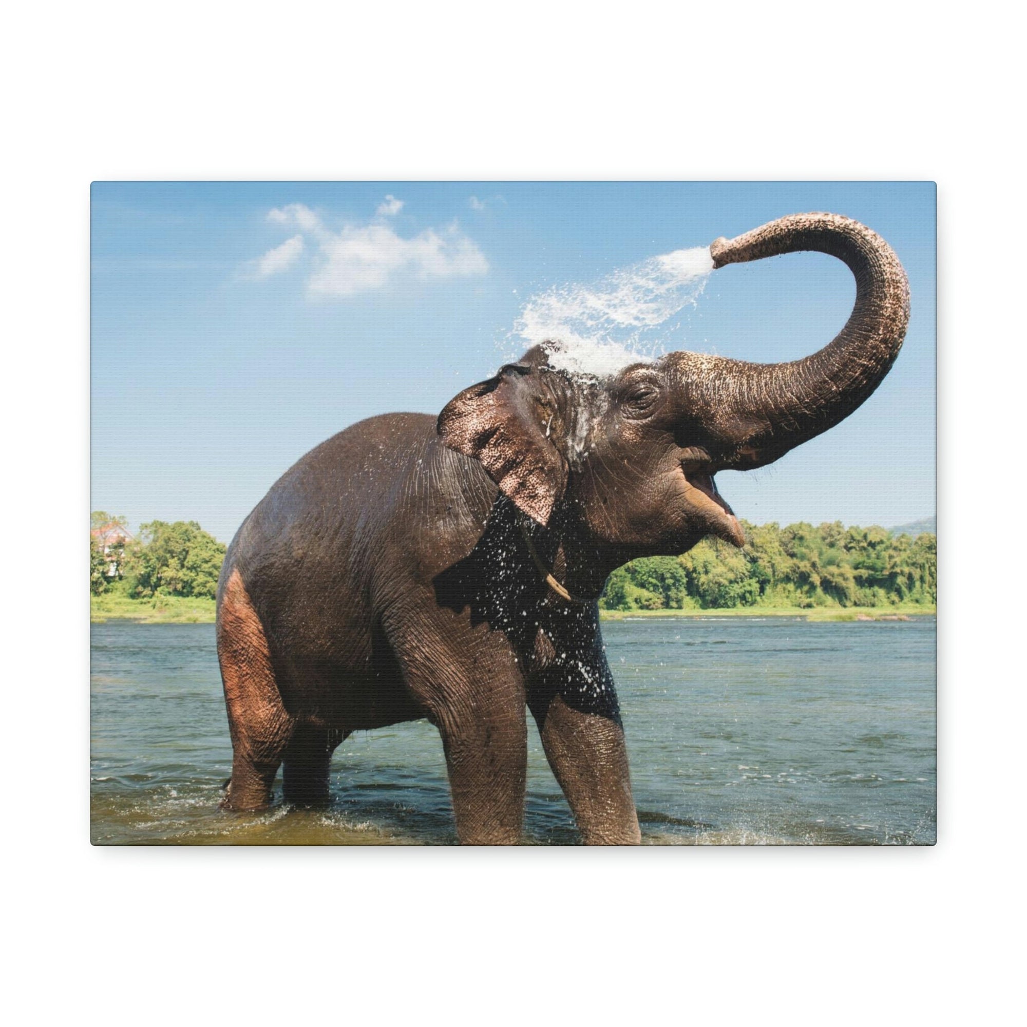 Scripture Walls Majestic Asian Elephant Art Majestic Asian Elephant Print Animal Wall Art Wildlife Canvas Prints Wall Art Ready to Hang Unframed-Express Your Love Gifts