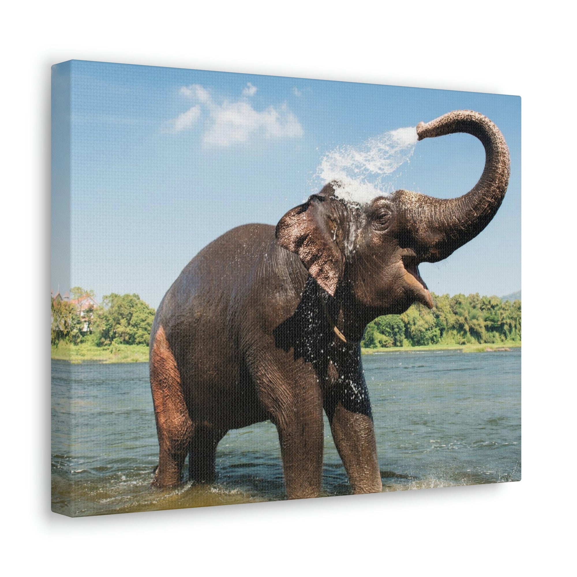 Scripture Walls Majestic Asian Elephant Art Majestic Asian Elephant Print Animal Wall Art Wildlife Canvas Prints Wall Art Ready to Hang Unframed-Express Your Love Gifts