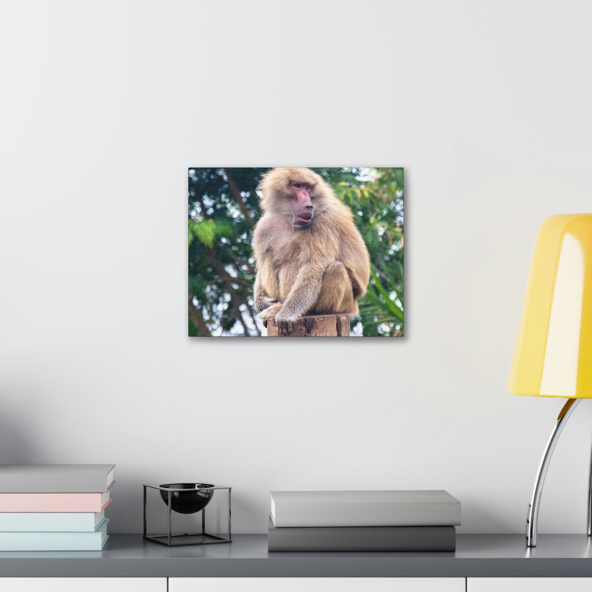 Scripture Walls Majestic Baboon Art Majestic Baboon Print Animal Wall Art Wildlife Canvas Prints Wall Art Ready to Hang Unframed-Express Your Love Gifts