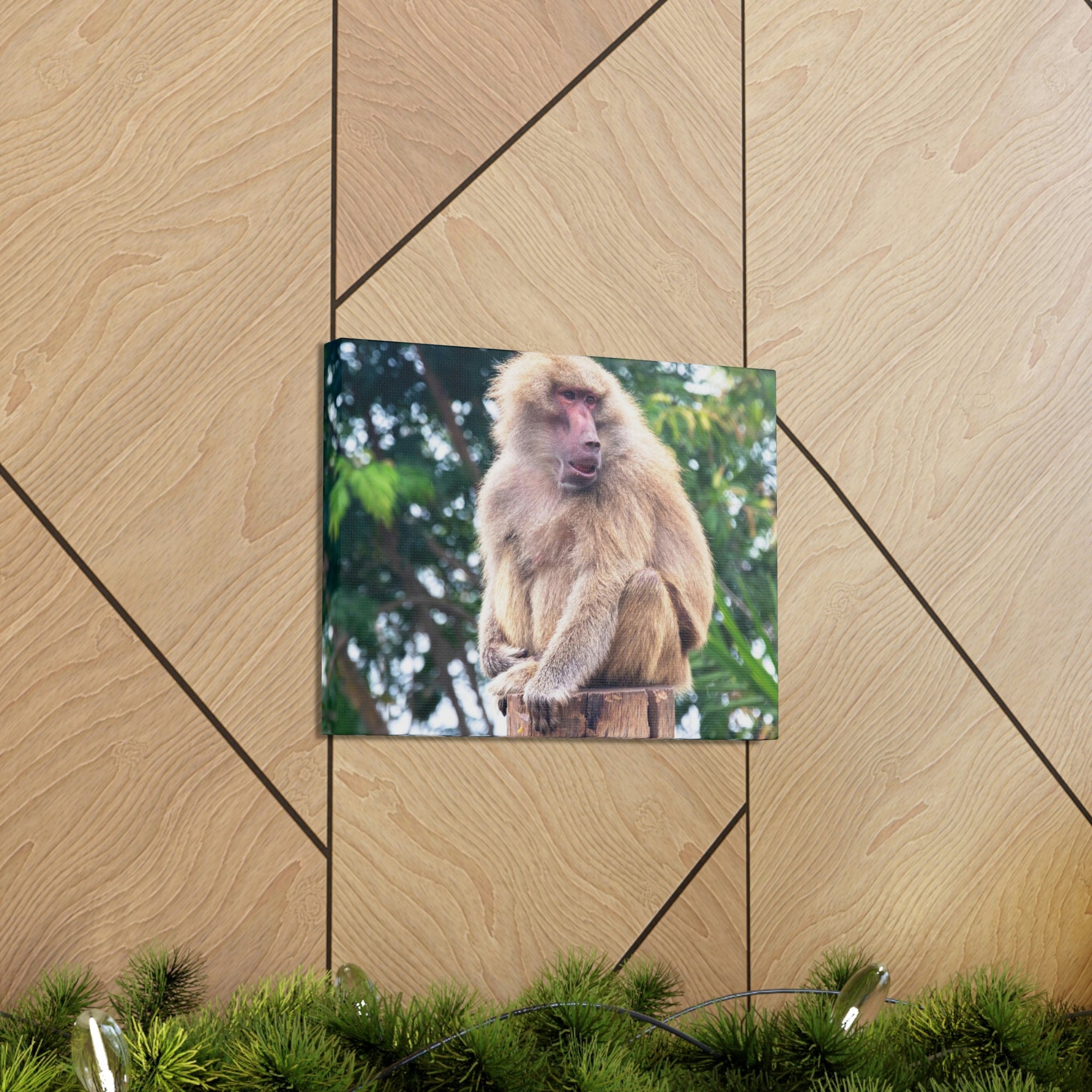 Scripture Walls Majestic Baboon Art Majestic Baboon Print Animal Wall Art Wildlife Canvas Prints Wall Art Ready to Hang Unframed-Express Your Love Gifts