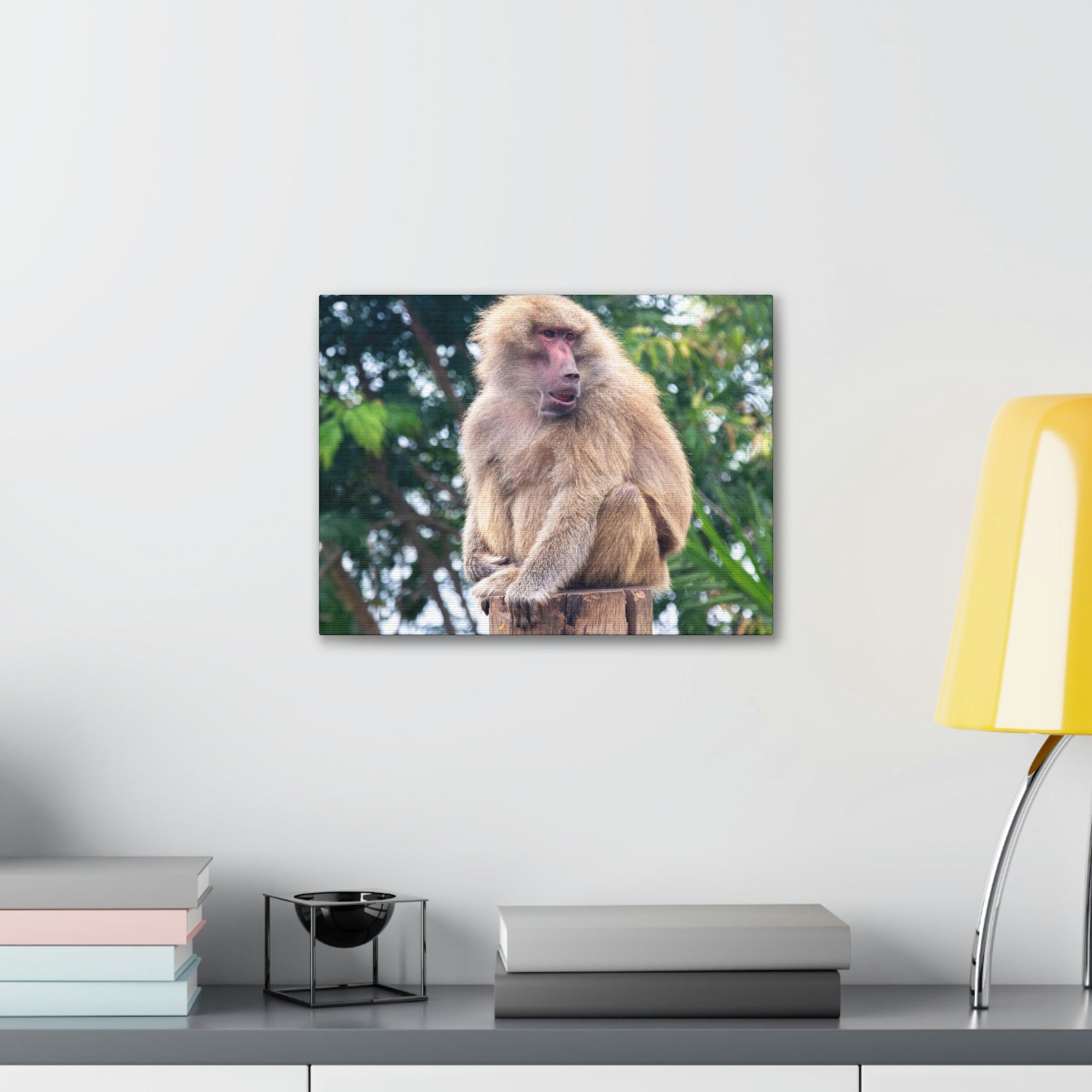 Scripture Walls Majestic Baboon Art Majestic Baboon Print Animal Wall Art Wildlife Canvas Prints Wall Art Ready to Hang Unframed-Express Your Love Gifts