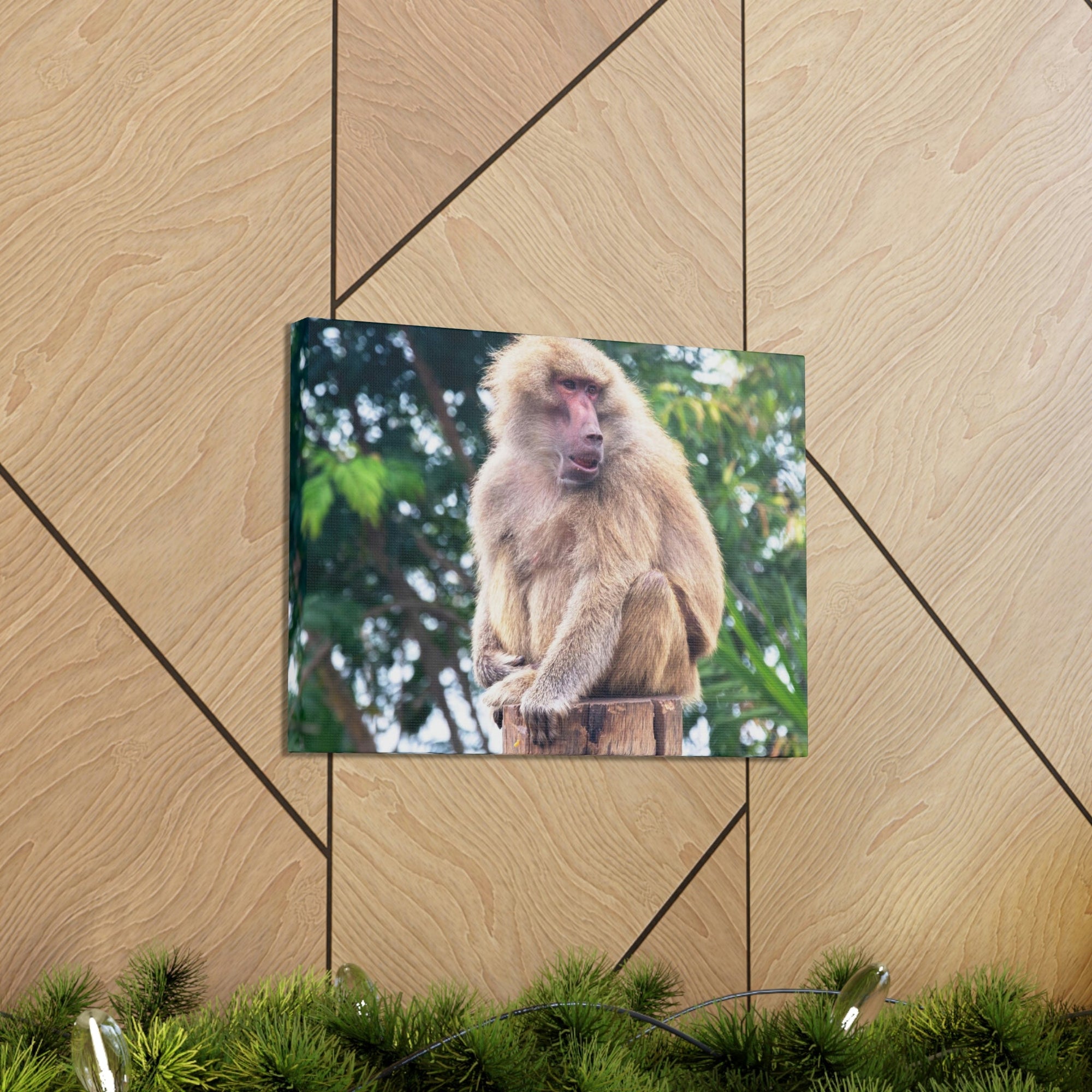 Scripture Walls Majestic Baboon Art Majestic Baboon Print Animal Wall Art Wildlife Canvas Prints Wall Art Ready to Hang Unframed-Express Your Love Gifts