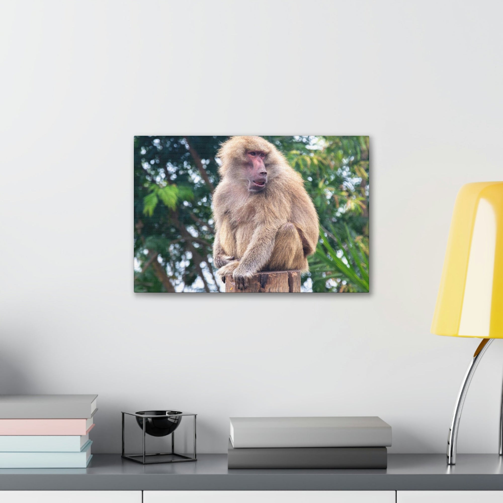 Scripture Walls Majestic Baboon Art Majestic Baboon Print Animal Wall Art Wildlife Canvas Prints Wall Art Ready to Hang Unframed-Express Your Love Gifts