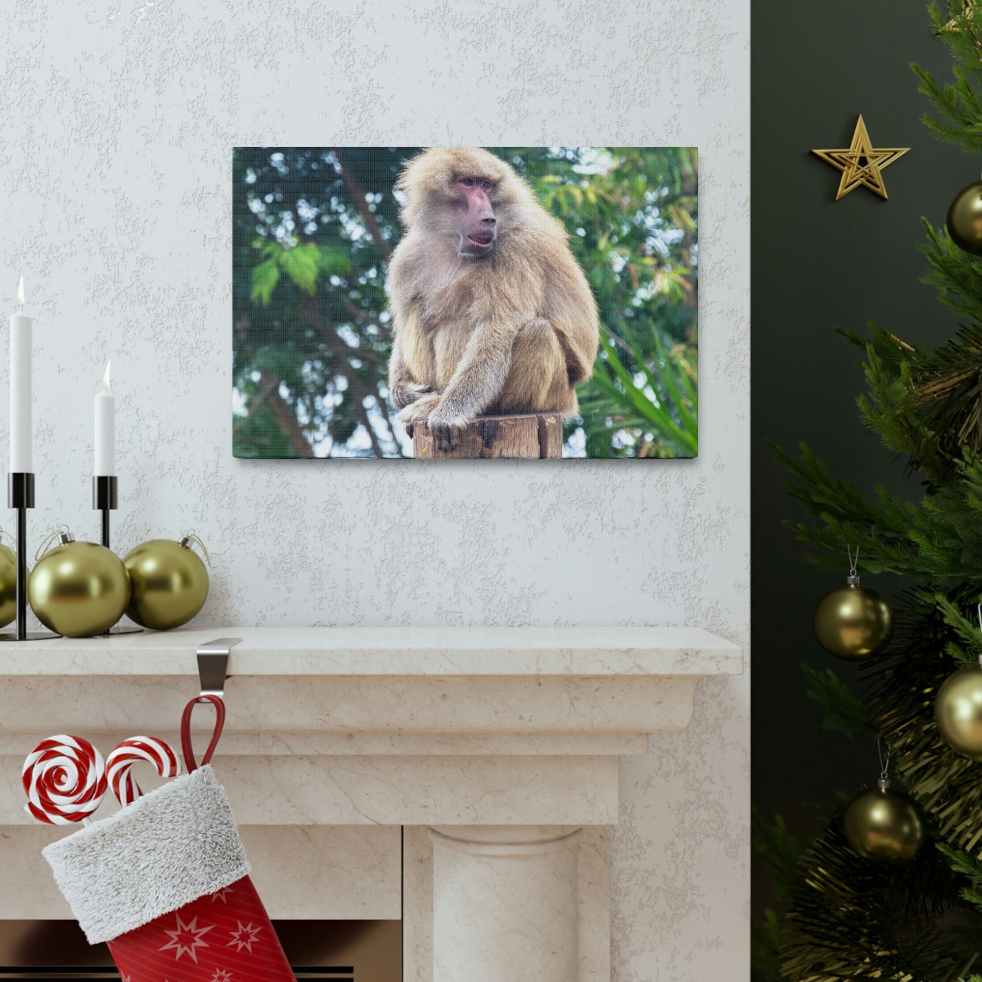 Scripture Walls Majestic Baboon Art Majestic Baboon Print Animal Wall Art Wildlife Canvas Prints Wall Art Ready to Hang Unframed-Express Your Love Gifts