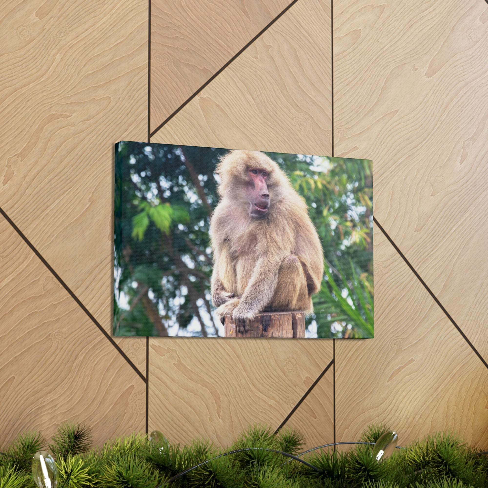 Scripture Walls Majestic Baboon Art Majestic Baboon Print Animal Wall Art Wildlife Canvas Prints Wall Art Ready to Hang Unframed-Express Your Love Gifts