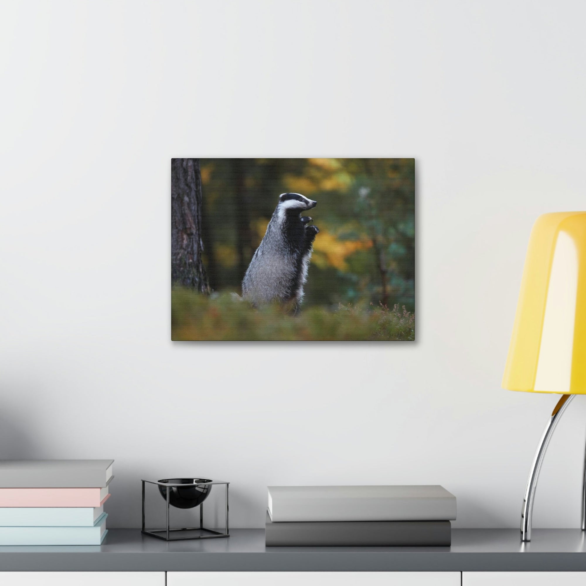 Scripture Walls Majestic Badger Art Majestic Badger Print Animal Wall Art Wildlife Canvas Prints Wall Art Ready to Hang Unframed-Express Your Love Gifts