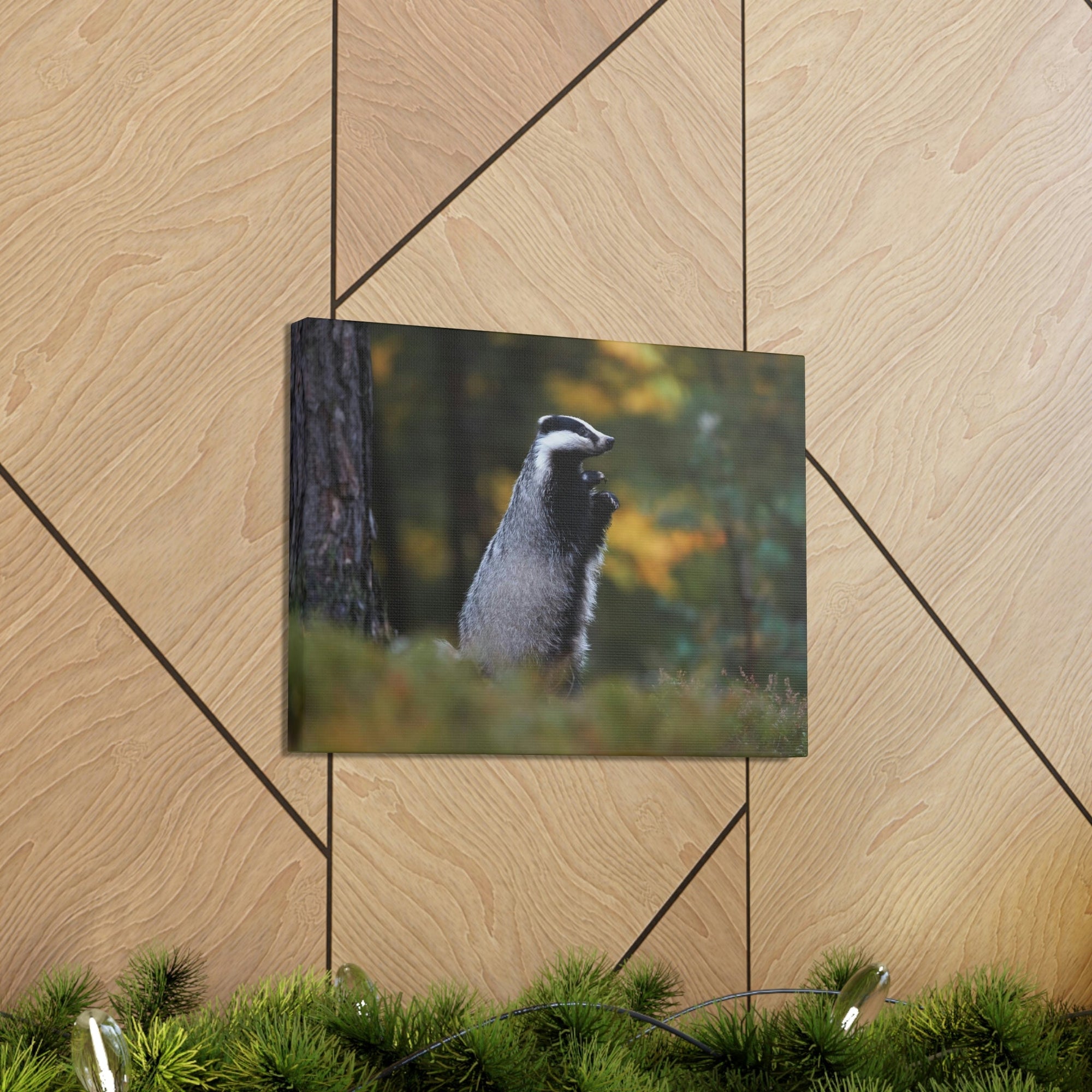 Scripture Walls Majestic Badger Art Majestic Badger Print Animal Wall Art Wildlife Canvas Prints Wall Art Ready to Hang Unframed-Express Your Love Gifts