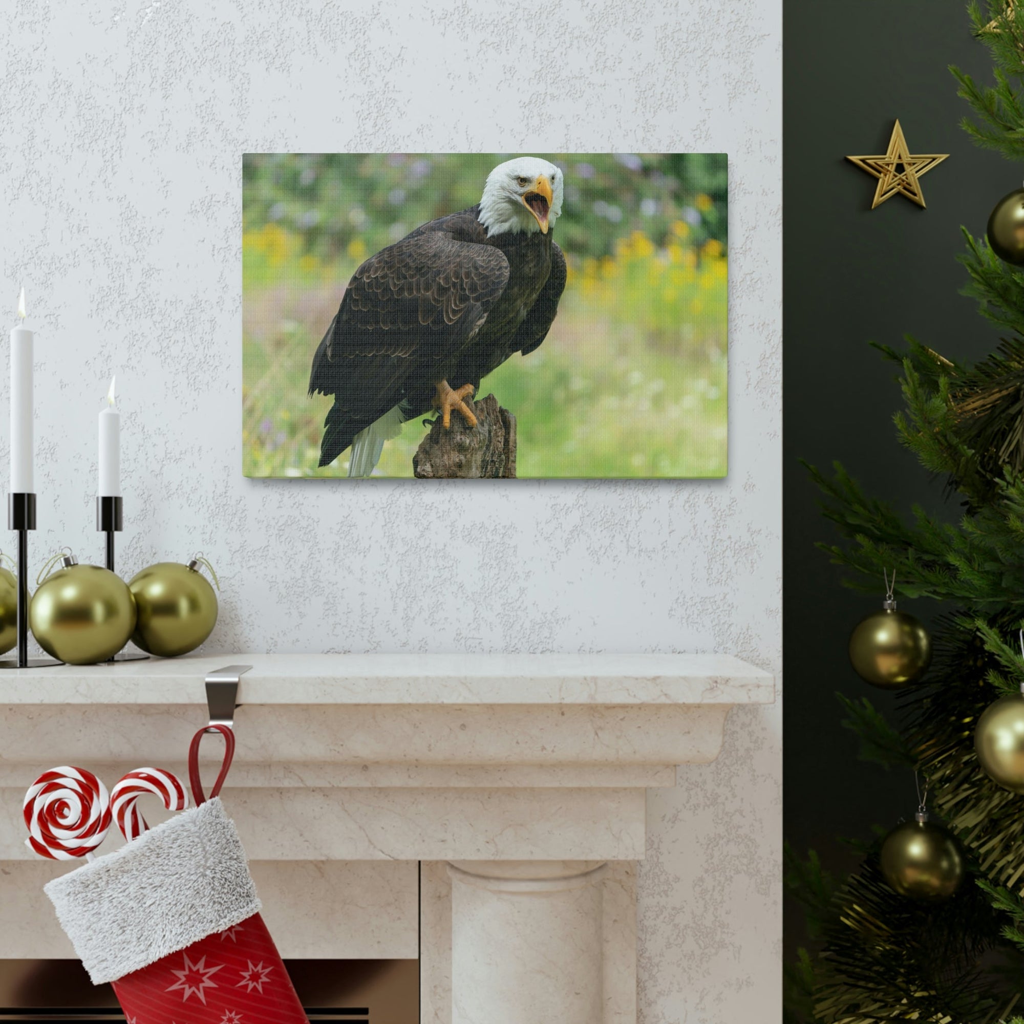 Scripture Walls Majestic Bald Eagle Art Majestic Bald Eagle Print Animal Wall Art Wildlife Canvas Prints Wall Art Ready to Hang Unframed-Express Your Love Gifts