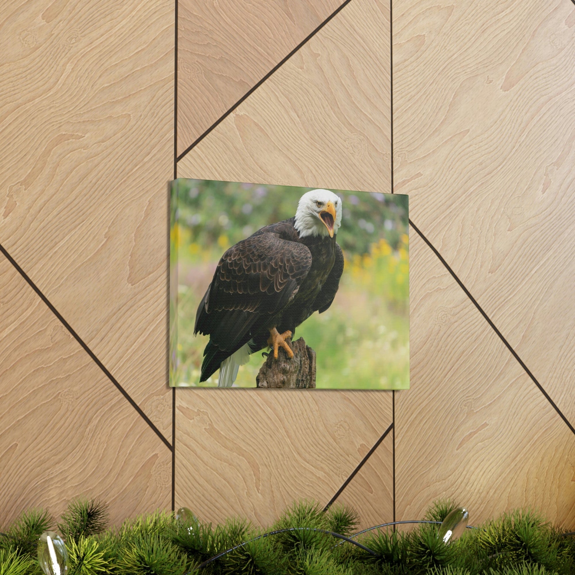 Scripture Walls Majestic Bald Eagle Art Majestic Bald Eagle Print Animal Wall Art Wildlife Canvas Prints Wall Art Ready to Hang Unframed-Express Your Love Gifts