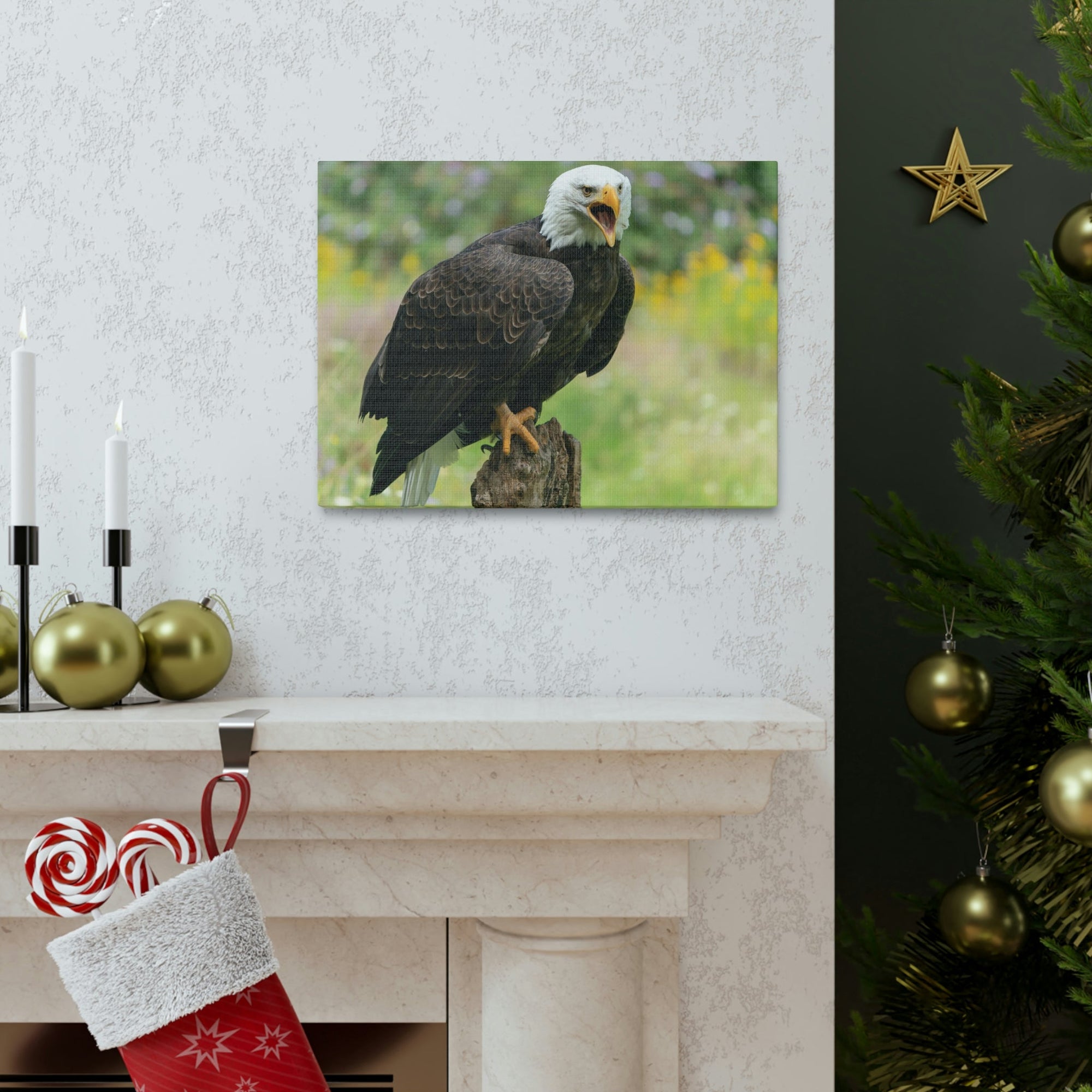 Scripture Walls Majestic Bald Eagle Art Majestic Bald Eagle Print Animal Wall Art Wildlife Canvas Prints Wall Art Ready to Hang Unframed-Express Your Love Gifts