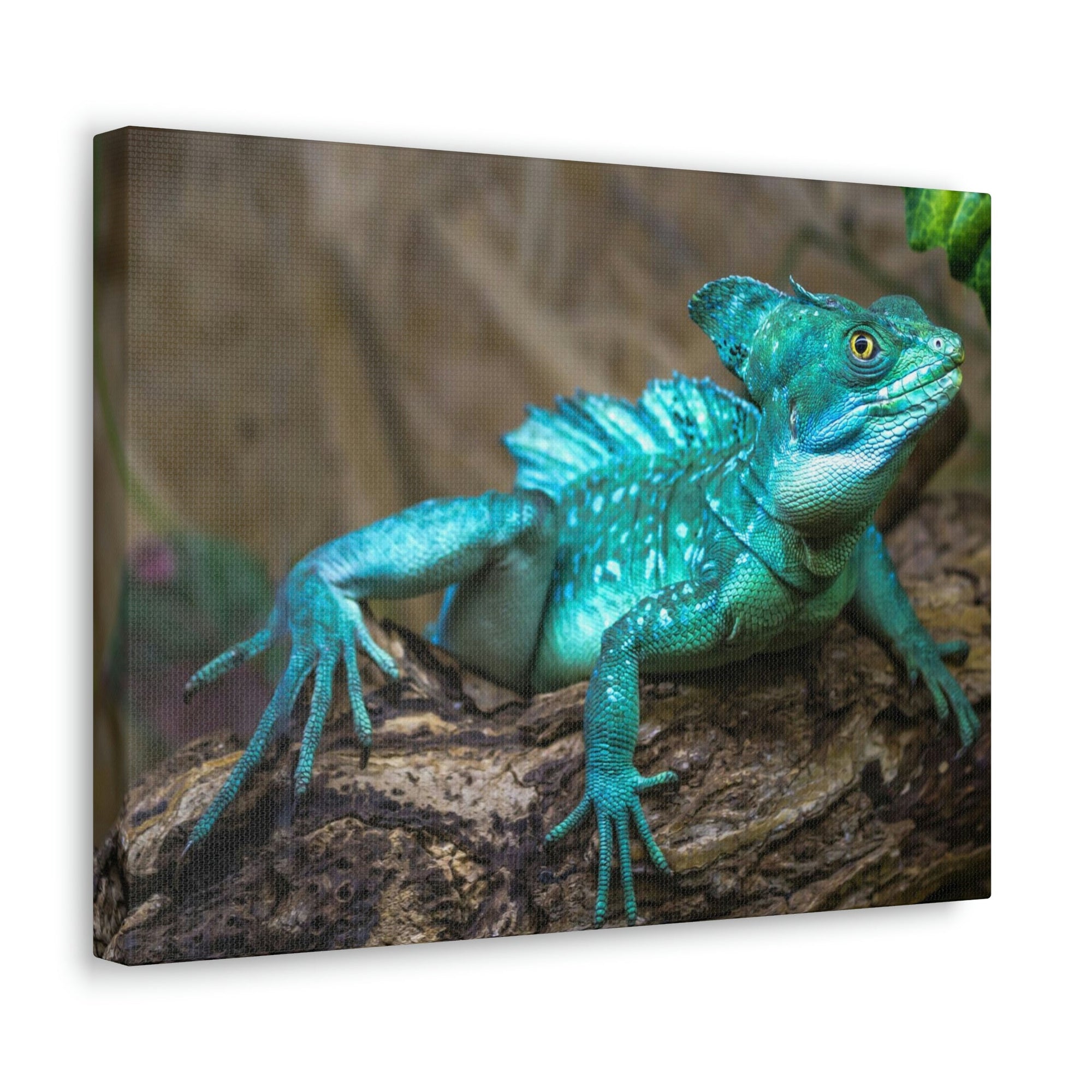 Scripture Walls Majestic Basilisk Art Majestic Basilisk Print Animal Wall Art Wildlife Canvas Prints Wall Art Ready to Hang Unframed-Express Your Love Gifts