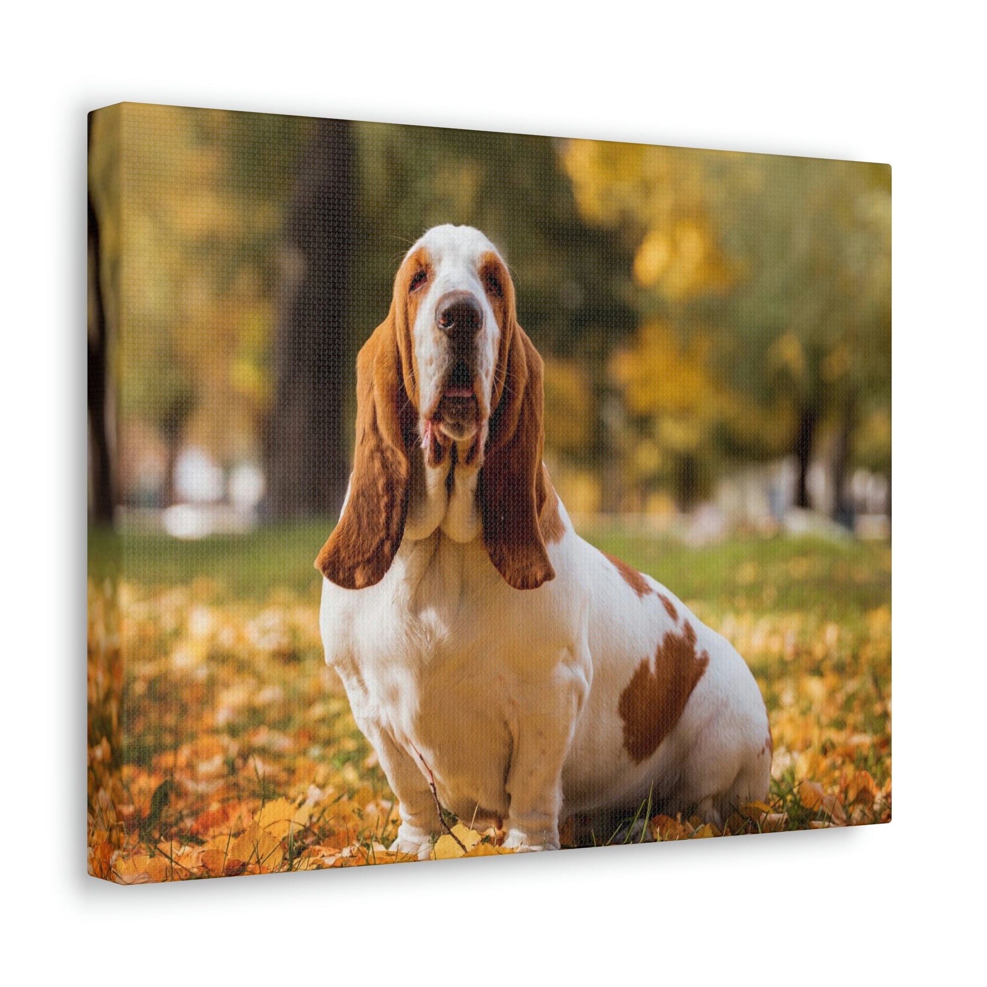 Scripture Walls Majestic Basset Hound Art Majestic Basset Hound Print Animal Wall Art Wildlife Canvas Prints Wall Art Ready to Hang Unframed-Express Your Love Gifts