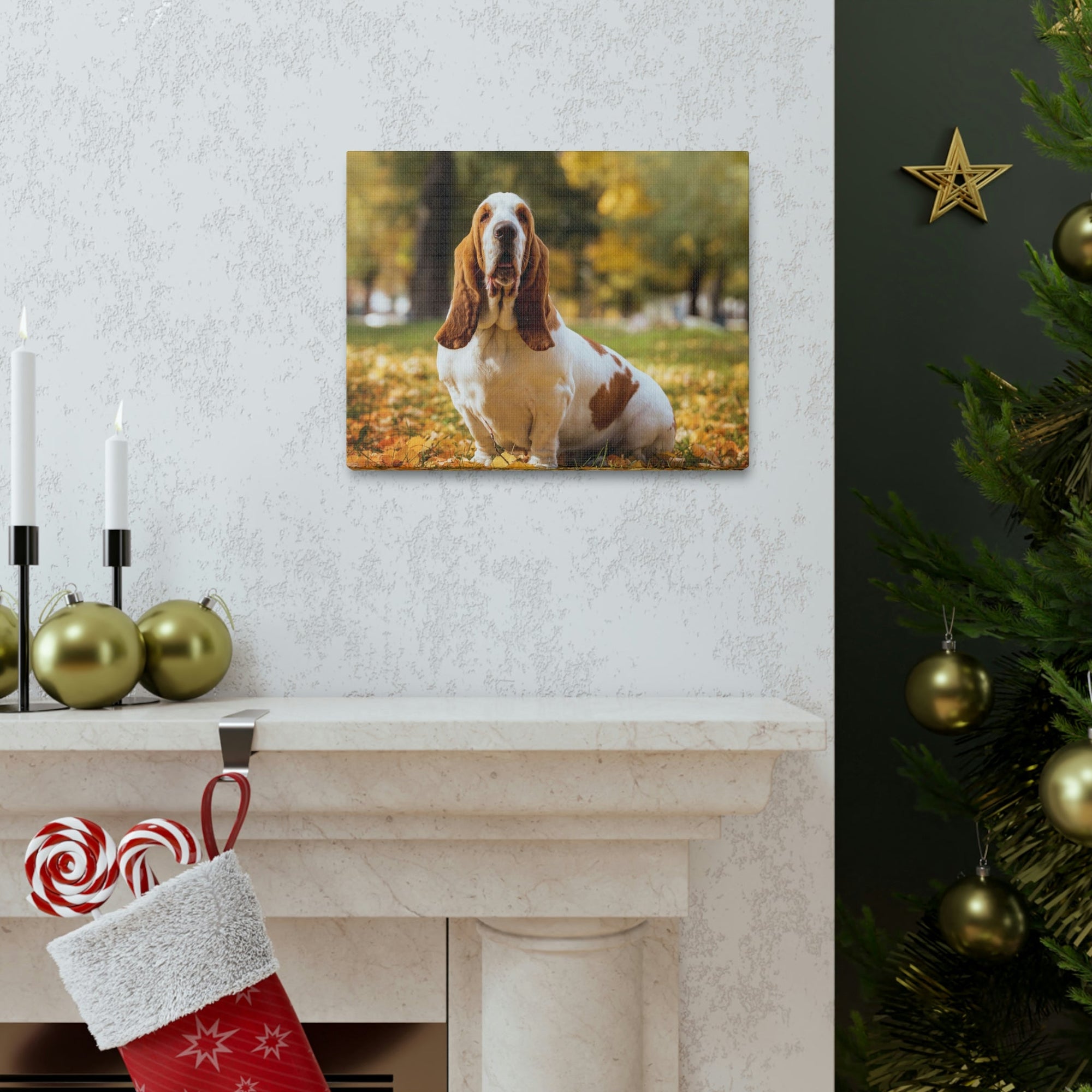 Scripture Walls Majestic Basset Hound Art Majestic Basset Hound Print Animal Wall Art Wildlife Canvas Prints Wall Art Ready to Hang Unframed-Express Your Love Gifts