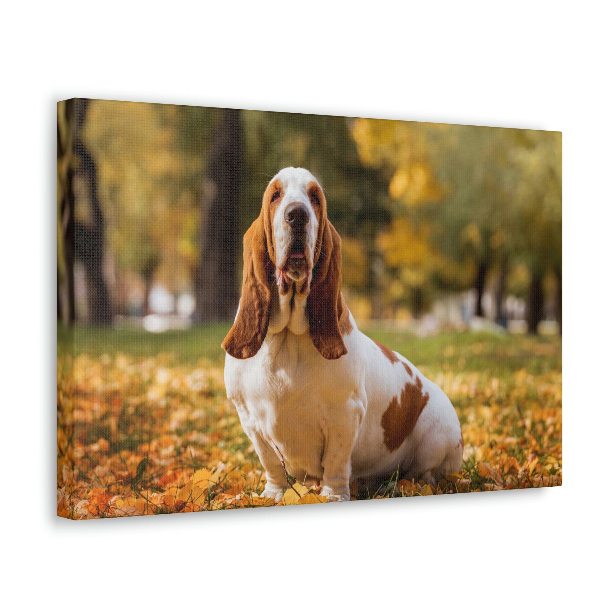 Scripture Walls Majestic Basset Hound Art Majestic Basset Hound Print Animal Wall Art Wildlife Canvas Prints Wall Art Ready to Hang Unframed-Express Your Love Gifts