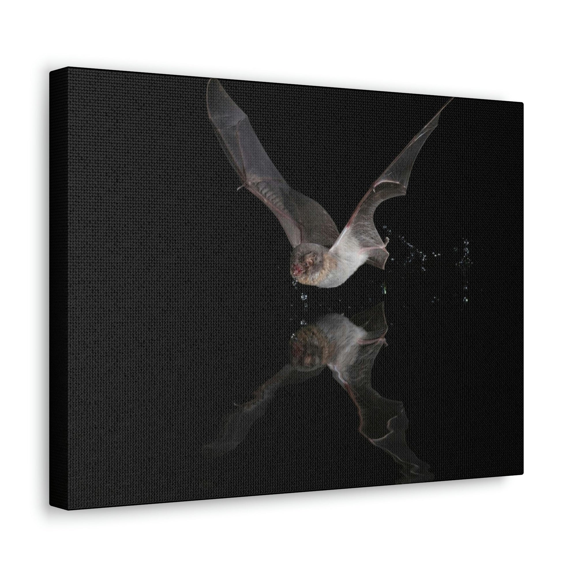 Scripture Walls Majestic Bat Art Majestic Bat Hound Print Animal Wall Art Wildlife Canvas Prints Wall Art Ready to Hang Unframed-Express Your Love Gifts