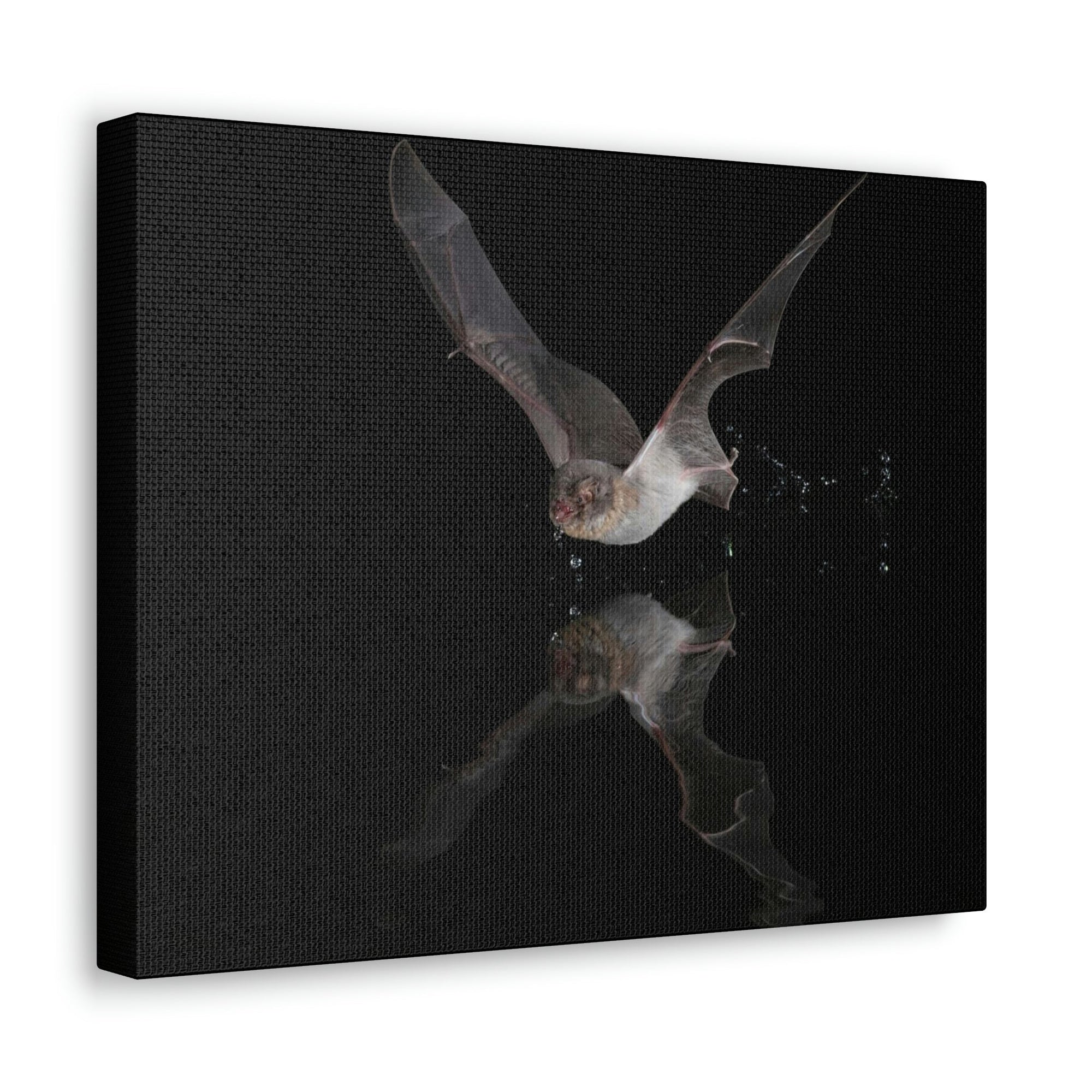 Scripture Walls Majestic Bat Art Majestic Bat Hound Print Animal Wall Art Wildlife Canvas Prints Wall Art Ready to Hang Unframed-Express Your Love Gifts