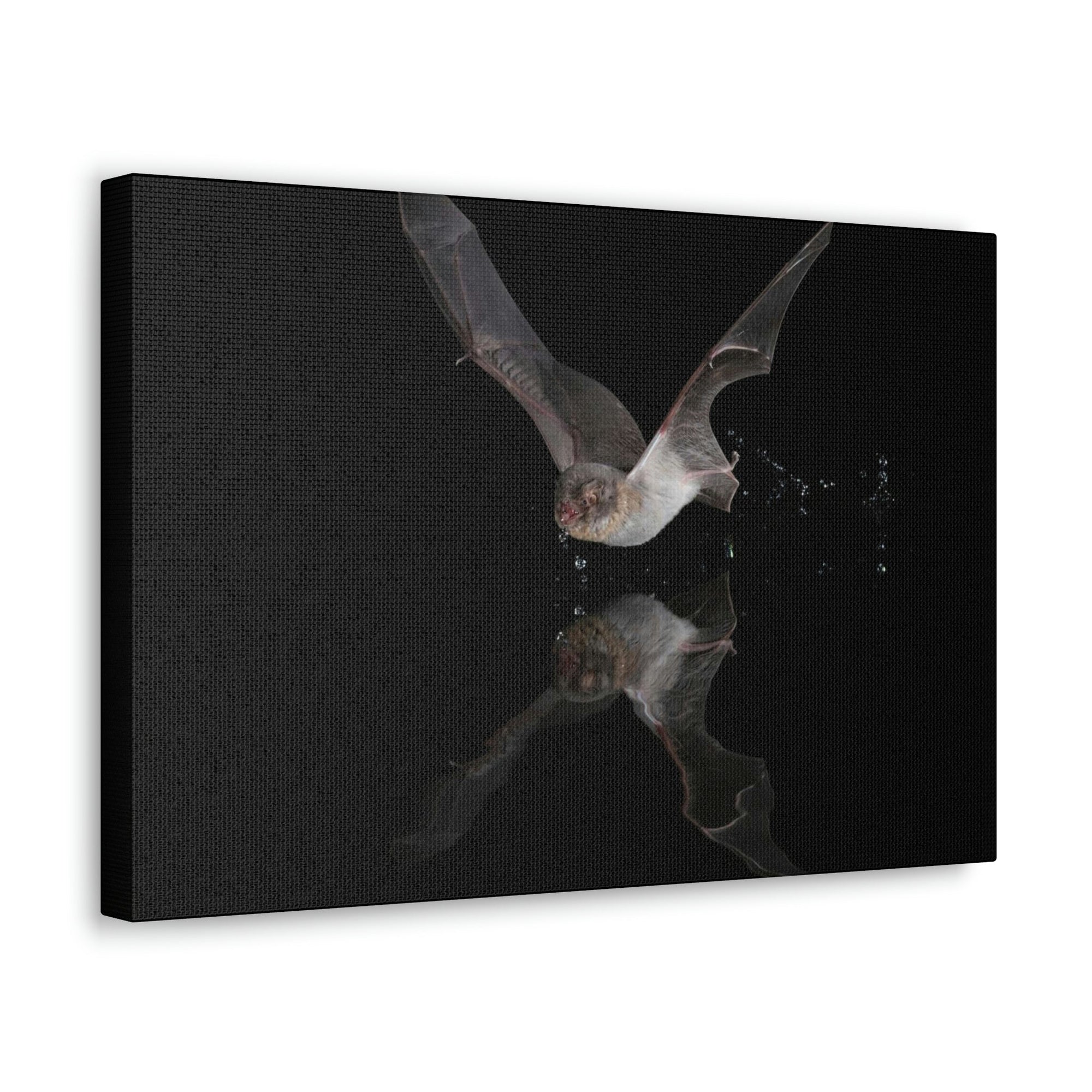 Scripture Walls Majestic Bat Art Majestic Bat Hound Print Animal Wall Art Wildlife Canvas Prints Wall Art Ready to Hang Unframed-Express Your Love Gifts