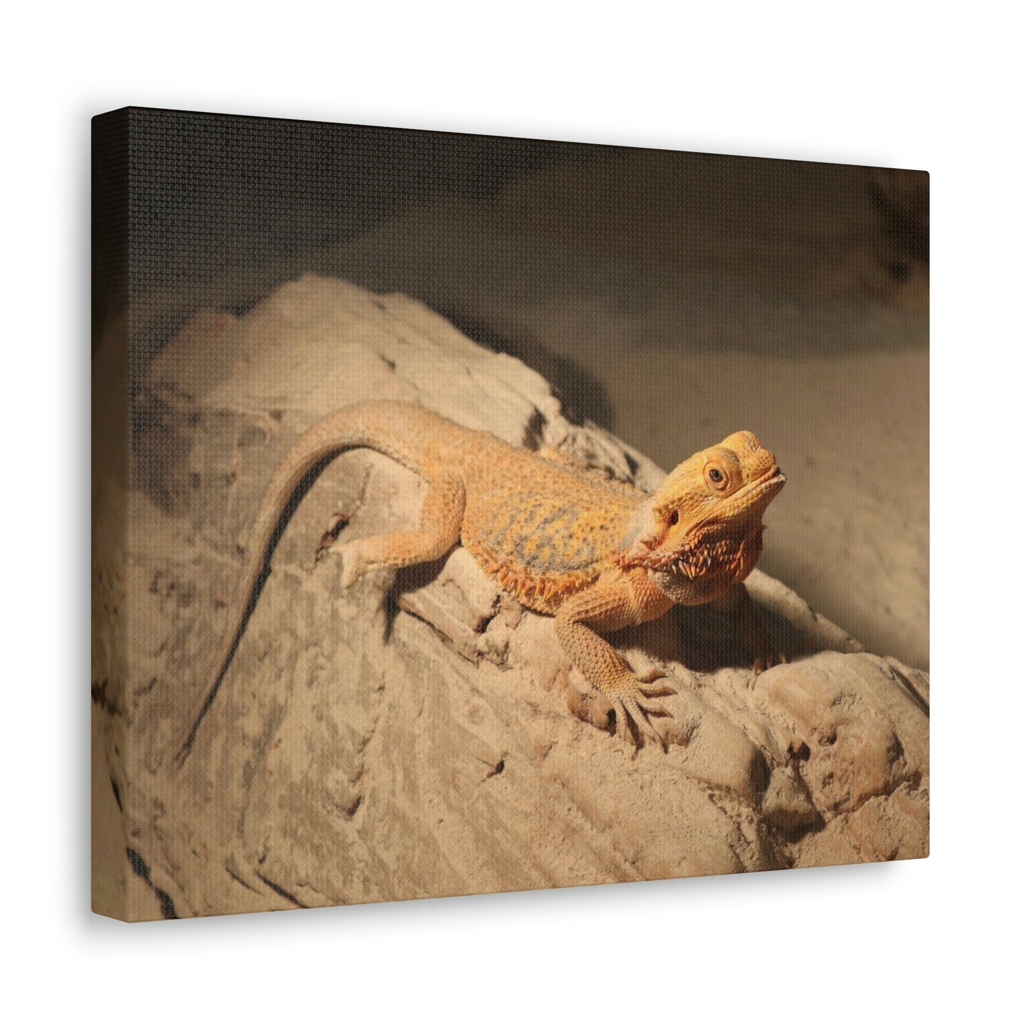 Scripture Walls Majestic Bearded Dragon Art Majestic Bearded Dragon Print Animal Wall Art Wildlife Canvas Prints Wall Art Ready to Hang Unframed-Express Your Love Gifts