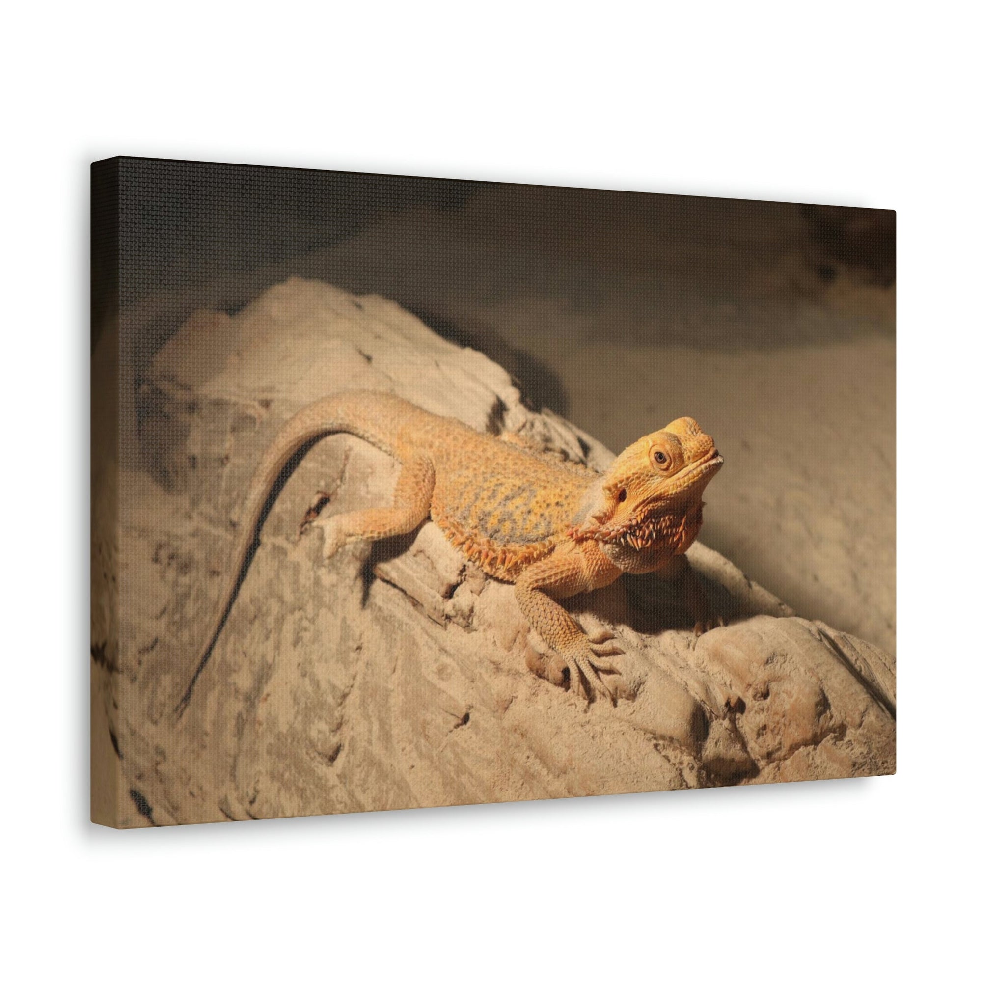 Bearded dragon print fabric best sale