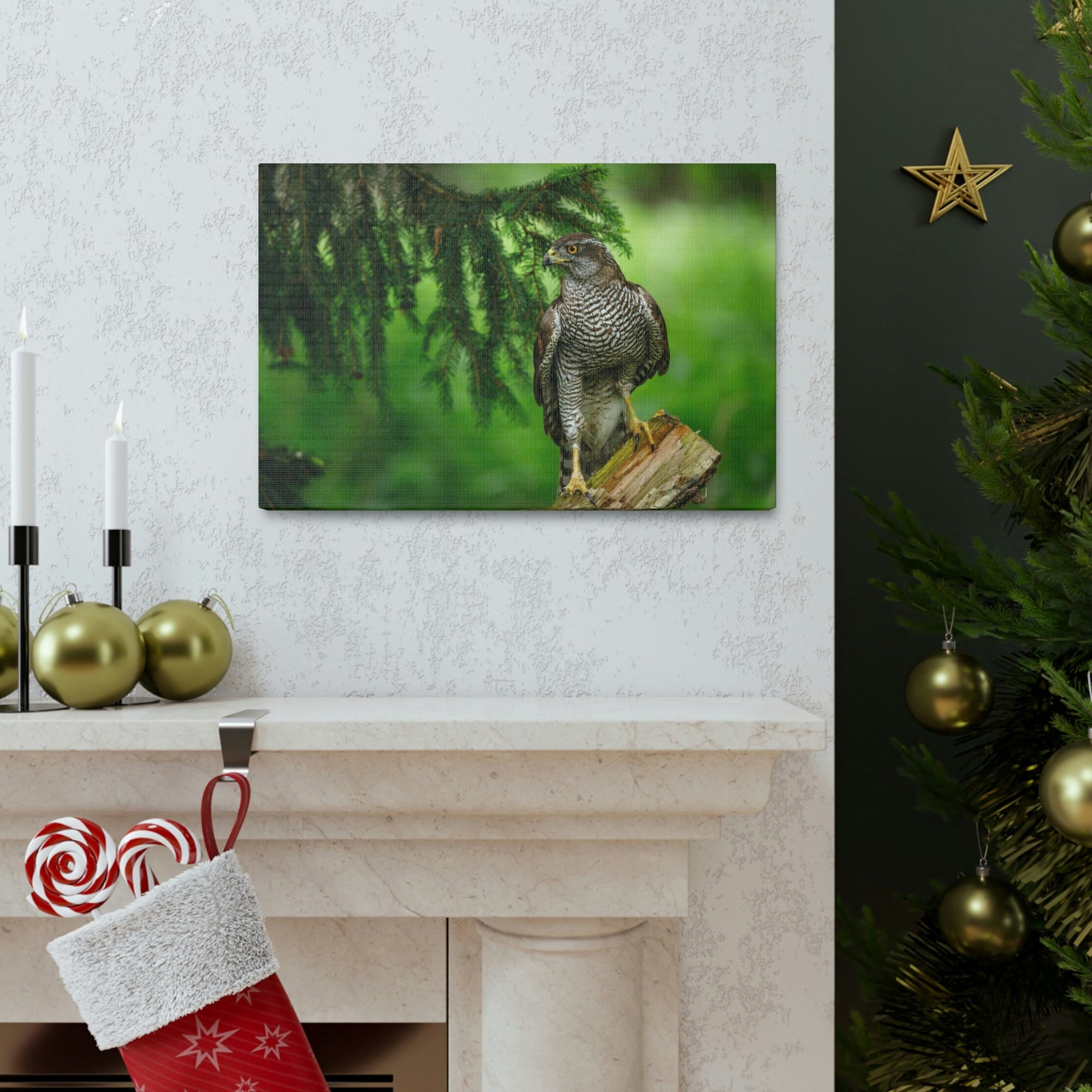 Scripture Walls Majestic Bird Art Majestic Bird Print Animal Wall Art Wildlife Canvas Prints Wall Art Ready to Hang Unframed-Express Your Love Gifts