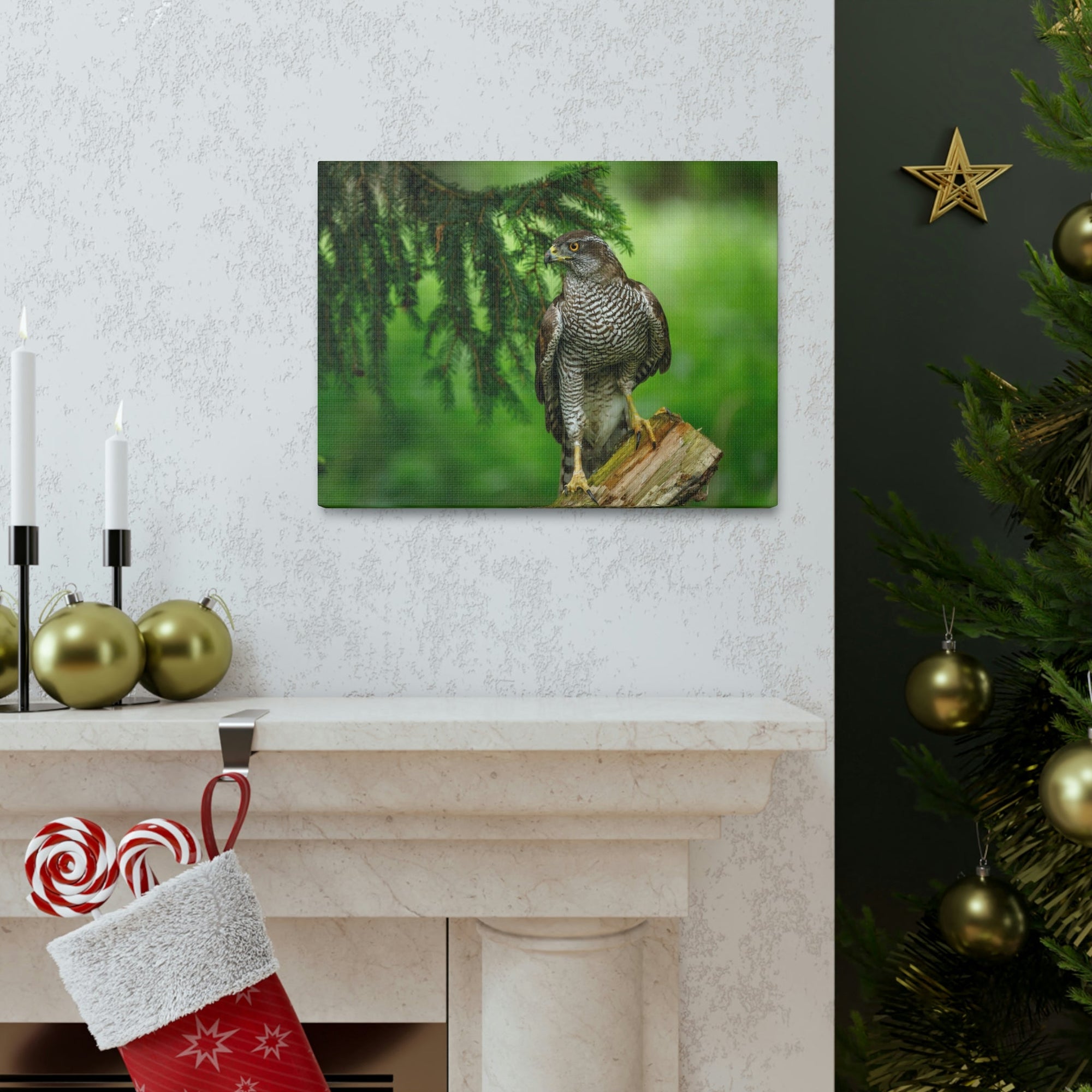 Scripture Walls Majestic Bird Art Majestic Bird Print Animal Wall Art Wildlife Canvas Prints Wall Art Ready to Hang Unframed-Express Your Love Gifts