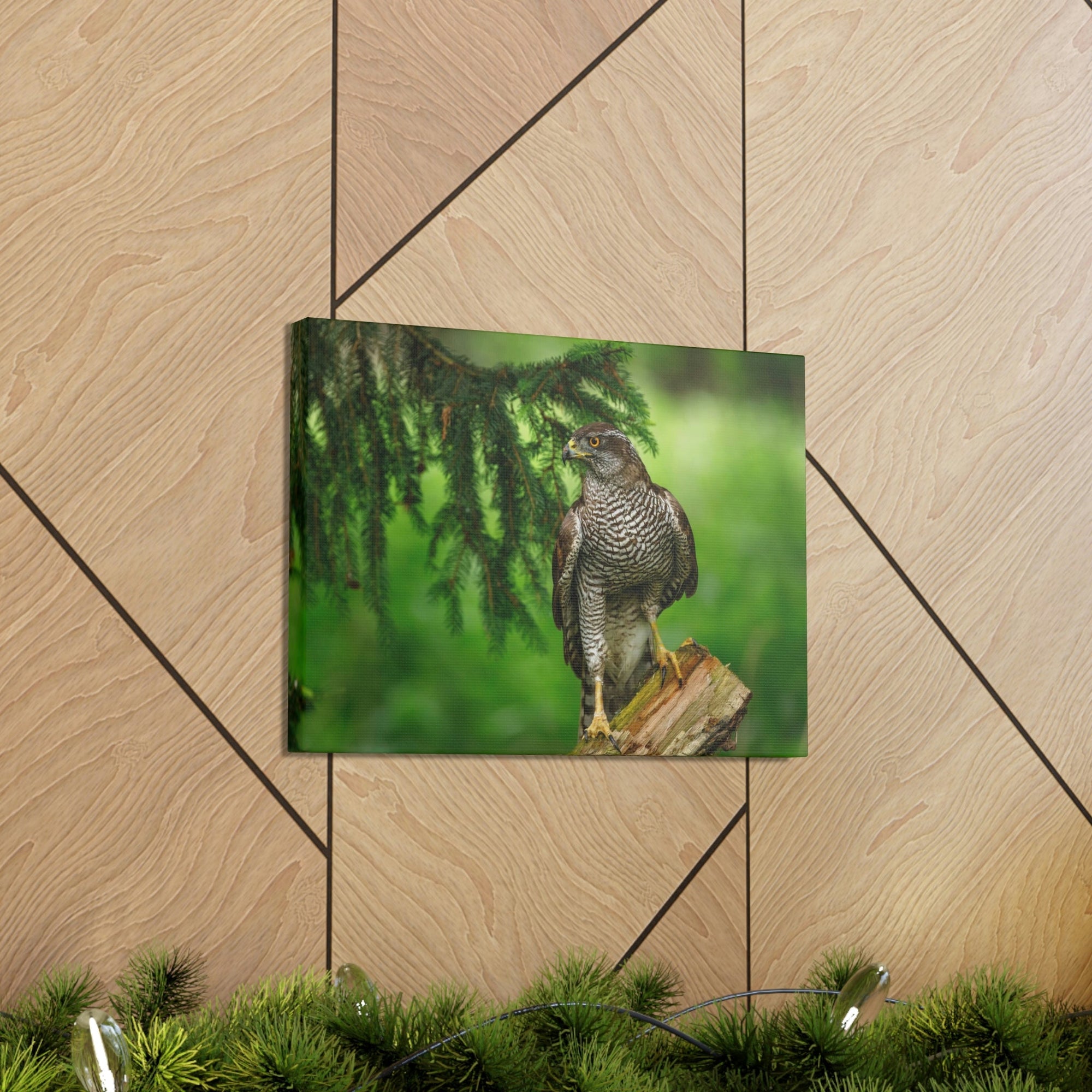 Scripture Walls Majestic Bird Art Majestic Bird Print Animal Wall Art Wildlife Canvas Prints Wall Art Ready to Hang Unframed-Express Your Love Gifts