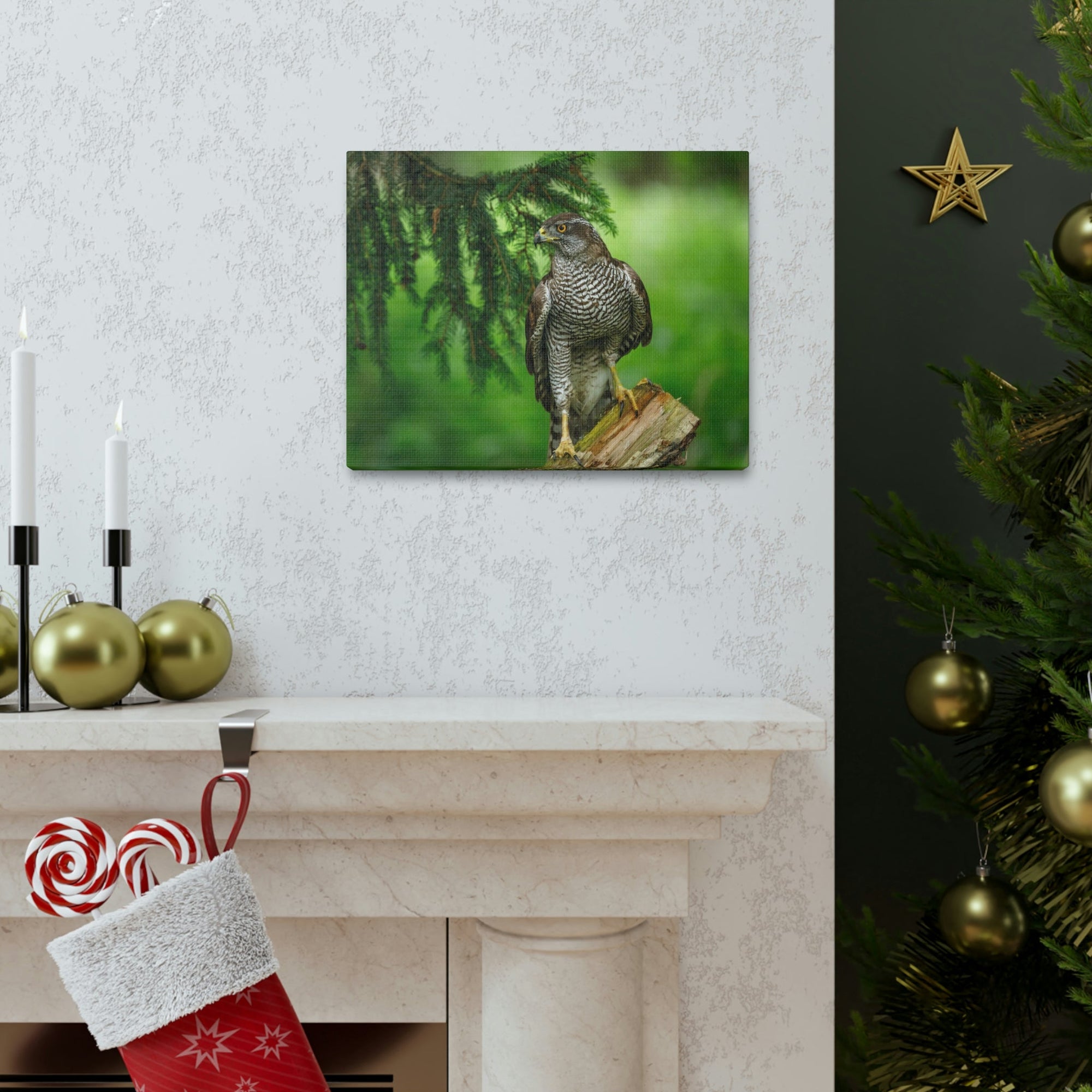 Scripture Walls Majestic Bird Art Majestic Bird Print Animal Wall Art Wildlife Canvas Prints Wall Art Ready to Hang Unframed-Express Your Love Gifts