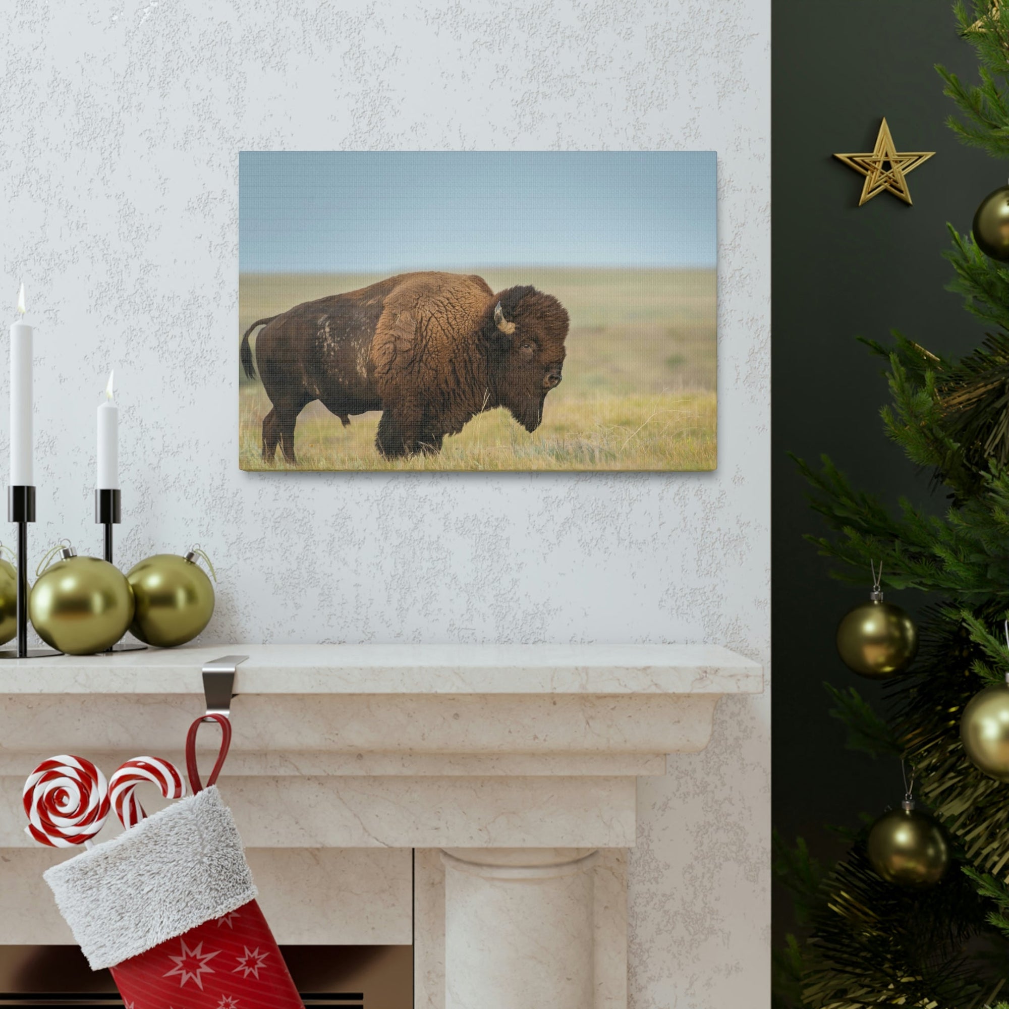 Scripture Walls Majestic Bison Art Majestic Bison Print Animal Wall Art Wildlife Canvas Prints Wall Art Ready to Hang Unframed-Express Your Love Gifts